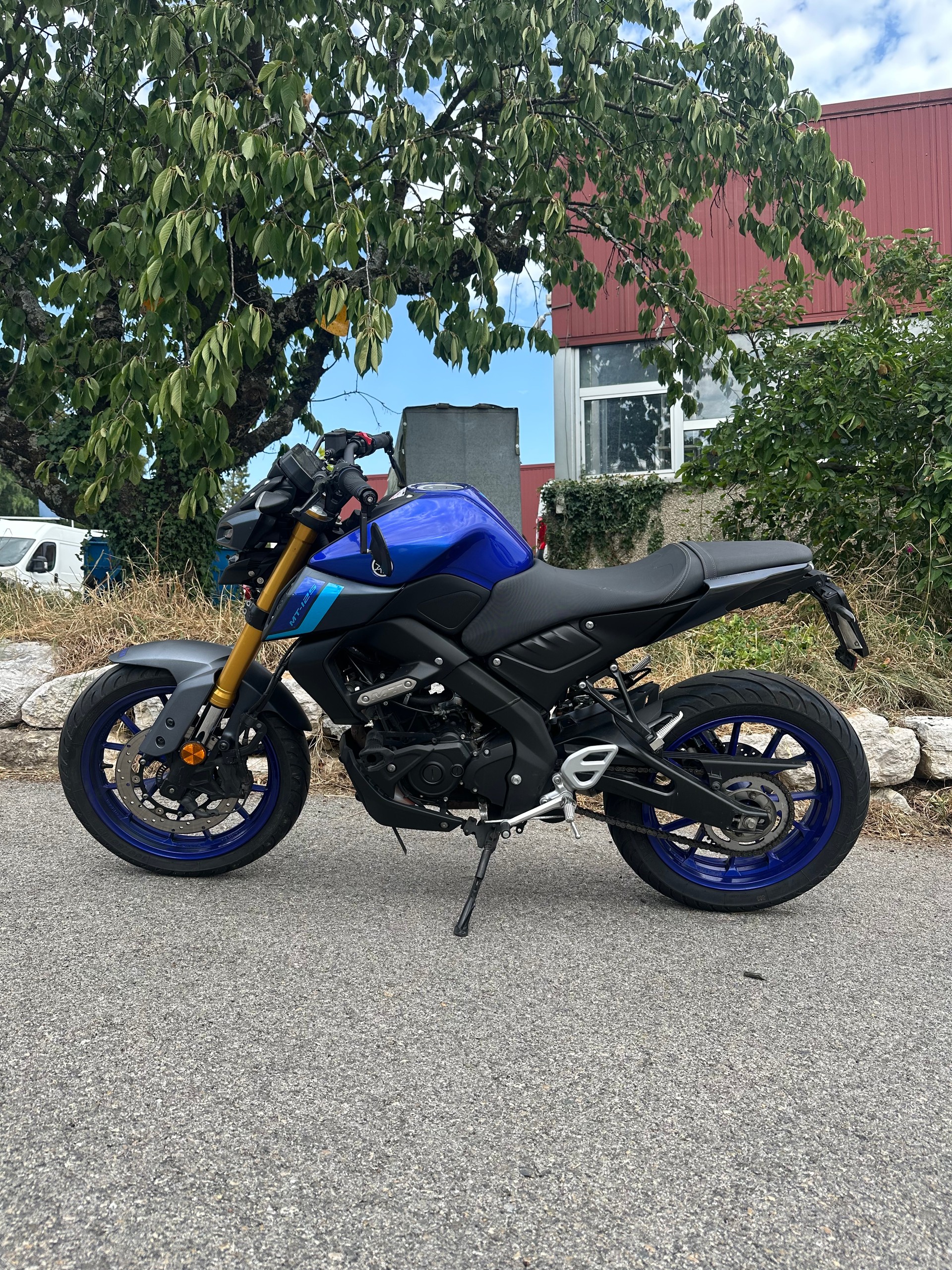 YAMAHA MT-125 ABS-image-7