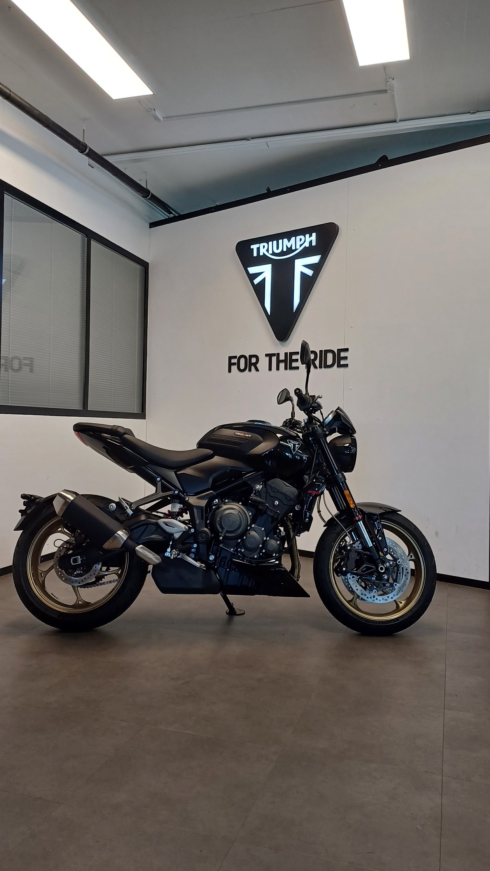 TRIUMPH Trident 800-image-1
