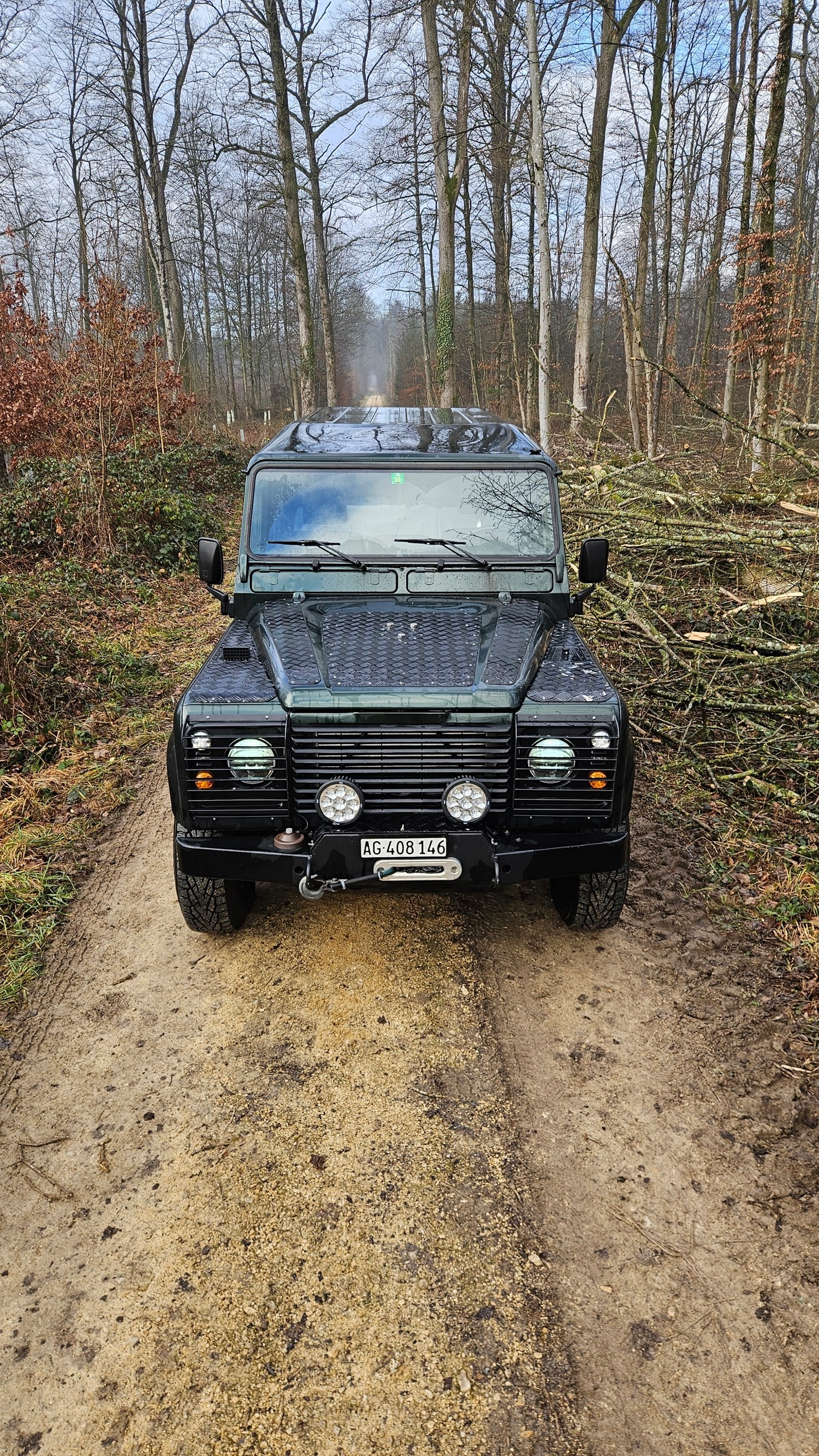 LAND ROVER Defender 110 SW 2.5 Td5-image-0