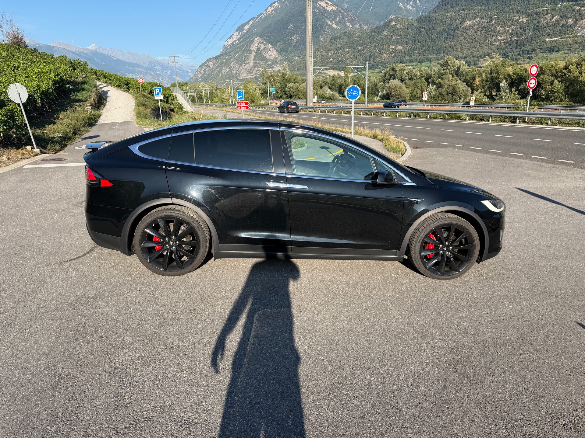 TESLA XP 100 D PERFORMANCE LUDICROUS +-image-10