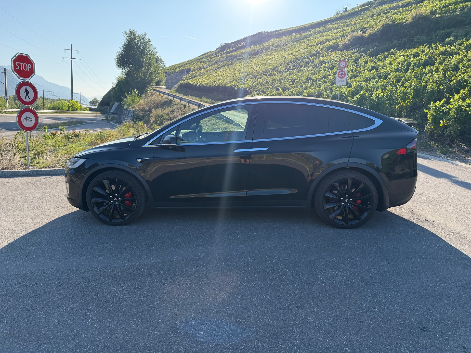 TESLA XP 100 D PERFORMANCE LUDICROUS +-image-12