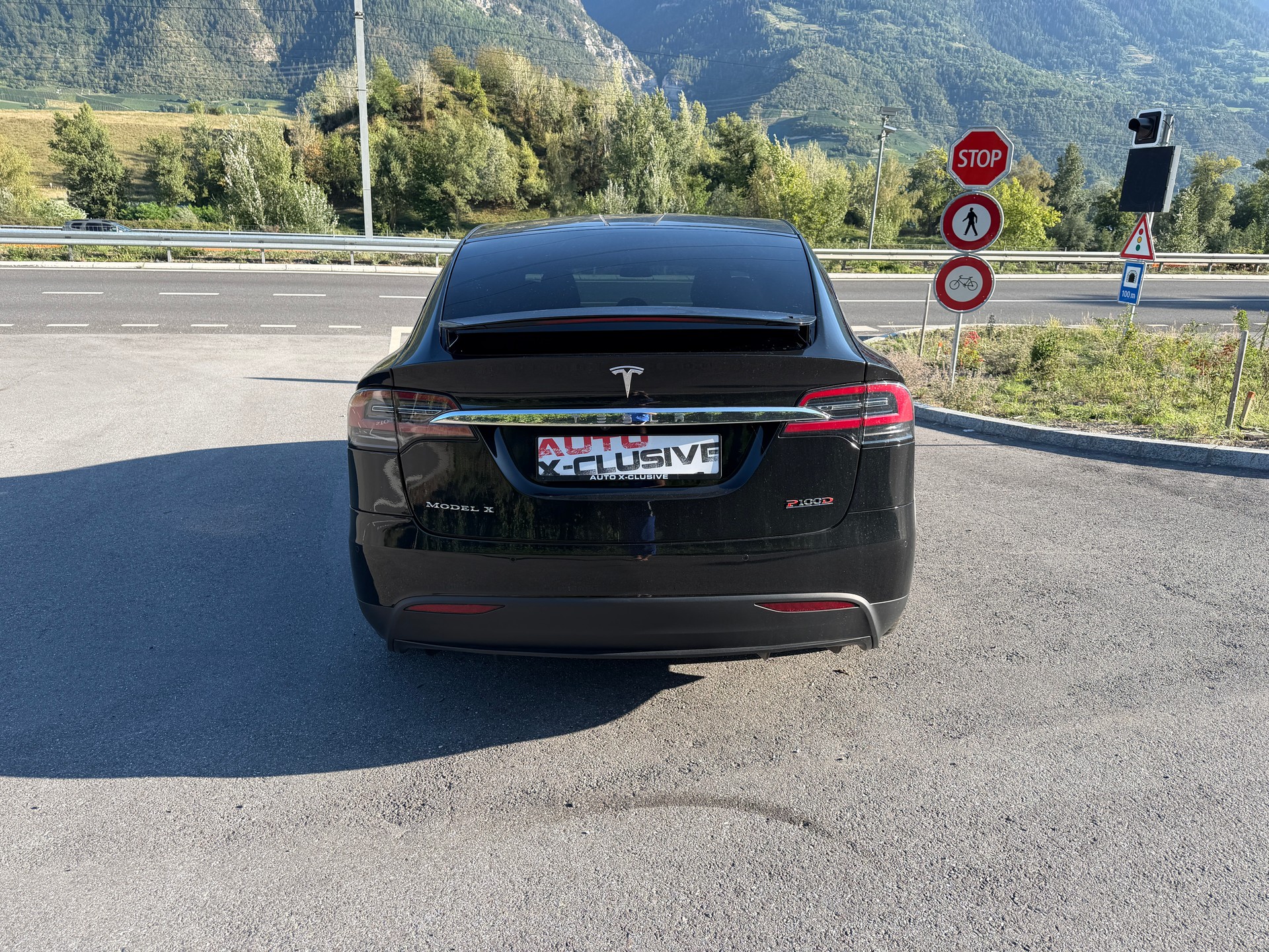 TESLA XP 100 D PERFORMANCE LUDICROUS +-image-4
