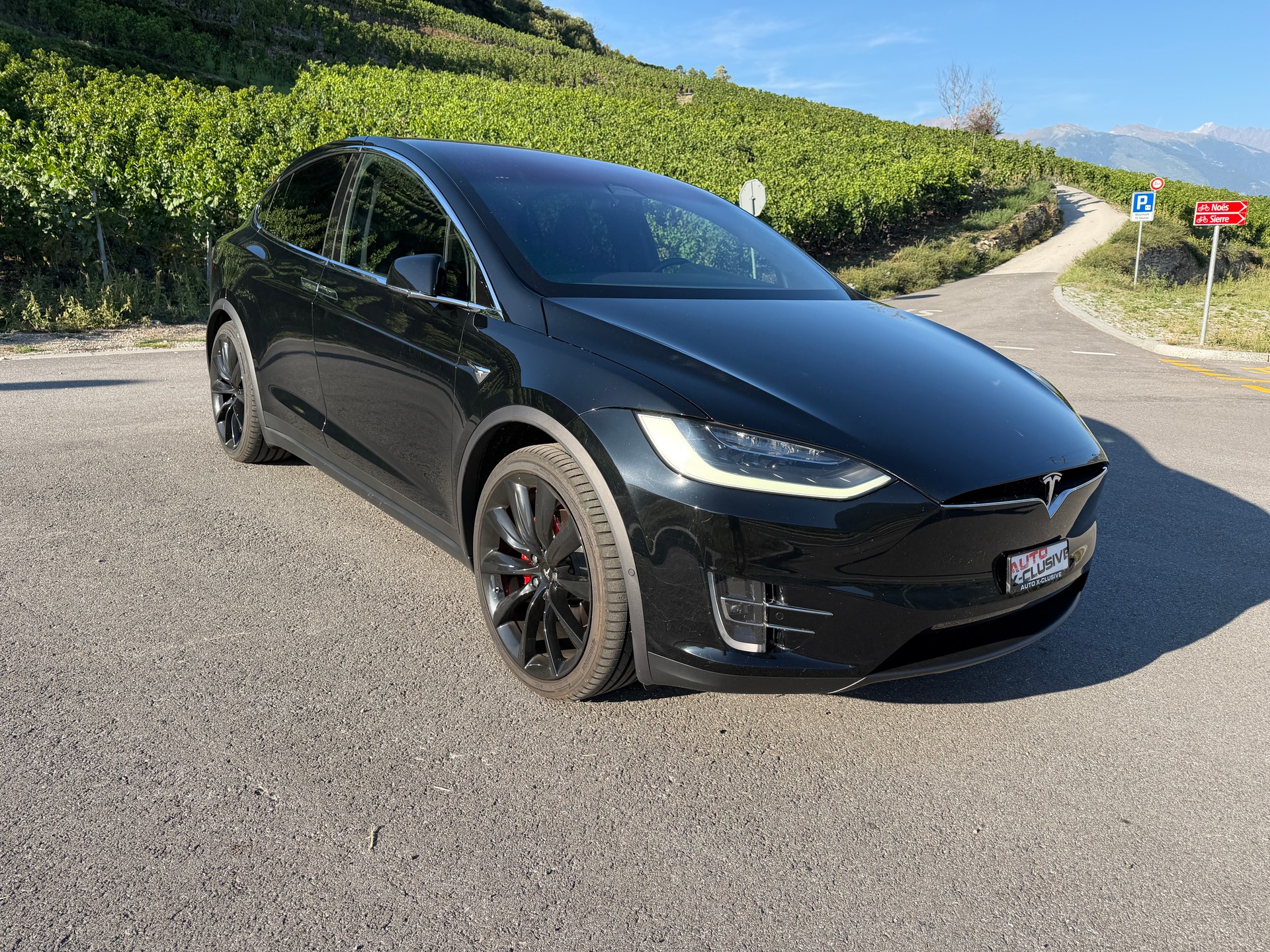 TESLA XP 100 D PERFORMANCE LUDICROUS +-image-2