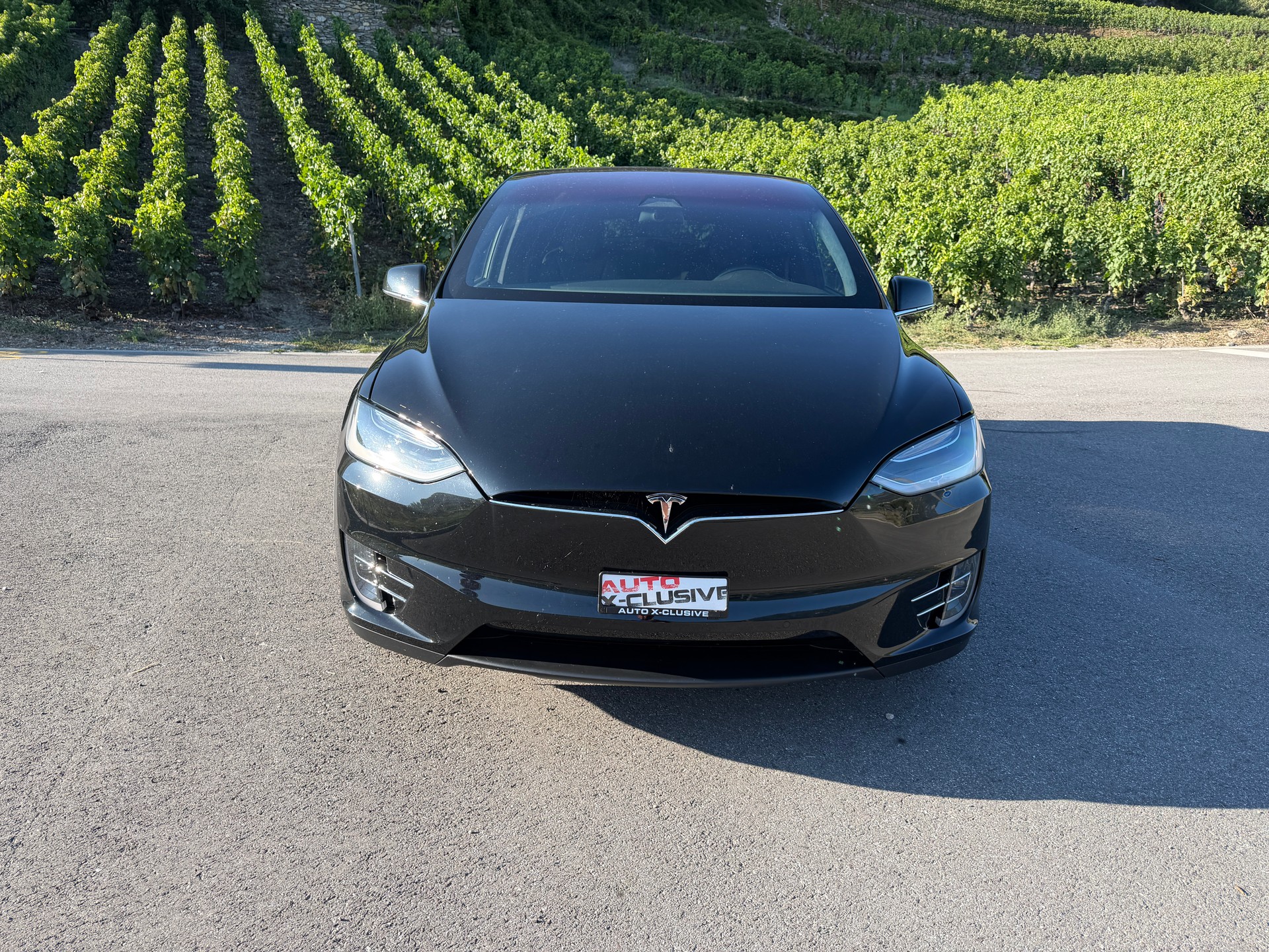TESLA XP 100 D PERFORMANCE LUDICROUS +-image-1