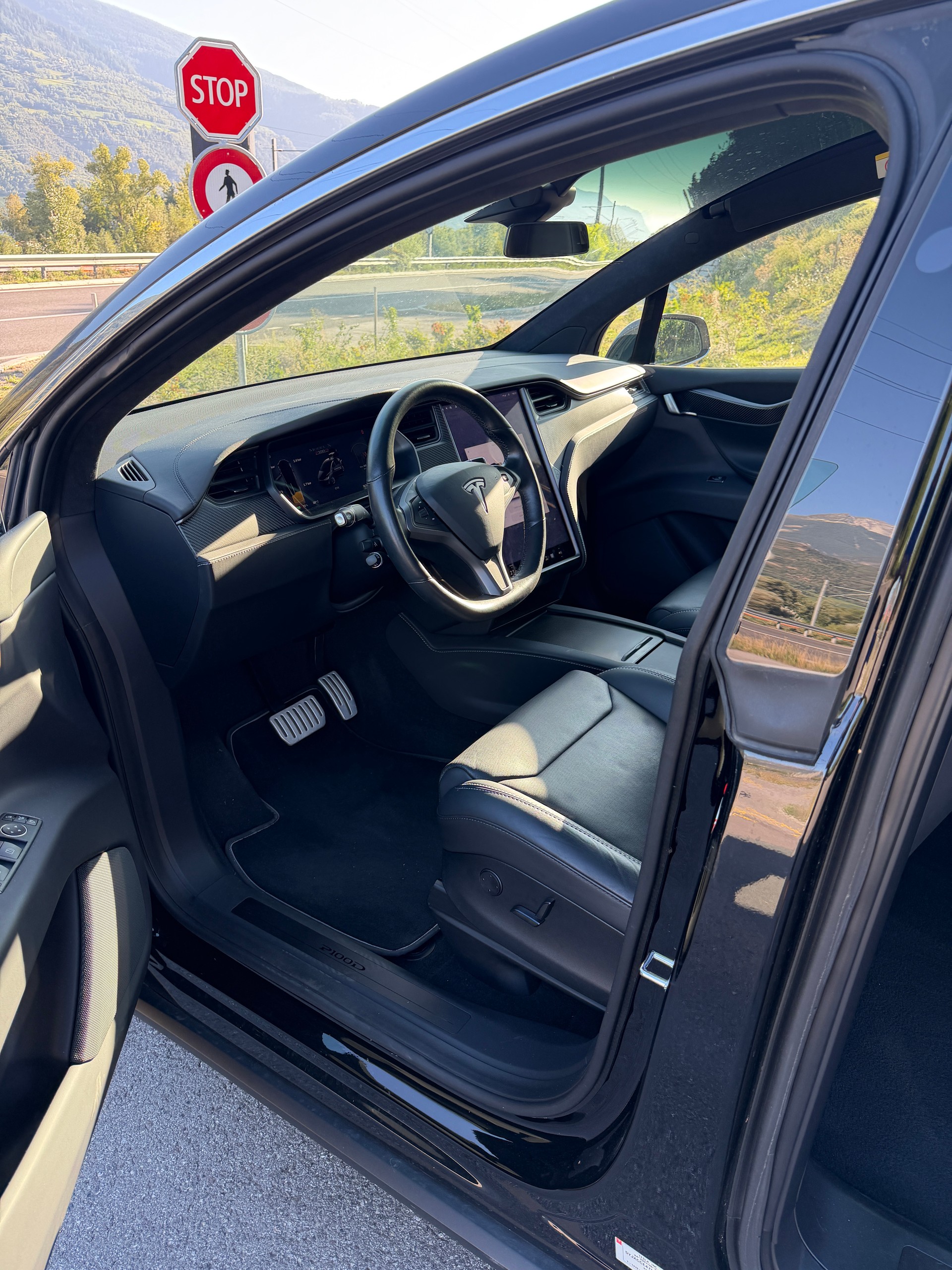 TESLA XP 100 D PERFORMANCE LUDICROUS +-image-8