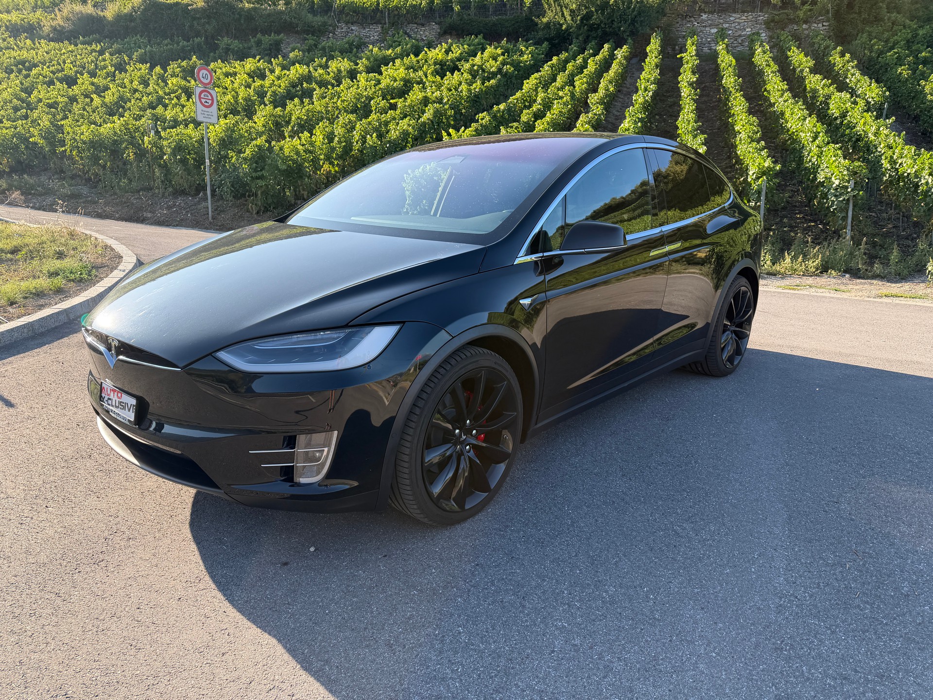 TESLA XP 100 D PERFORMANCE LUDICROUS +-image-0