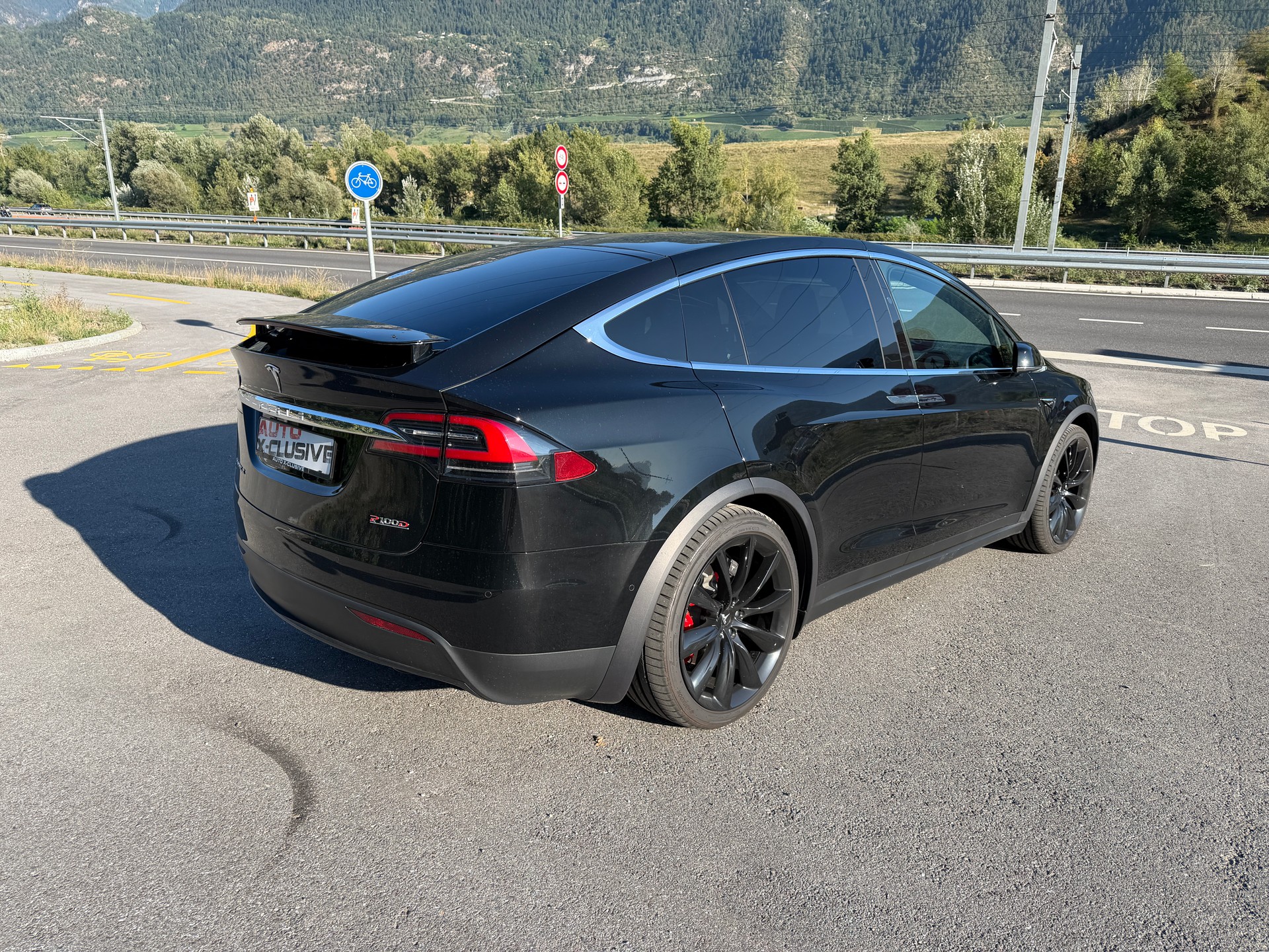 TESLA XP 100 D PERFORMANCE LUDICROUS +-image-3