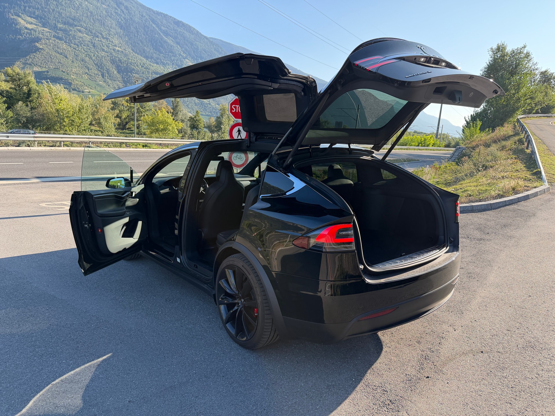 TESLA XP 100 D PERFORMANCE LUDICROUS +-image-5