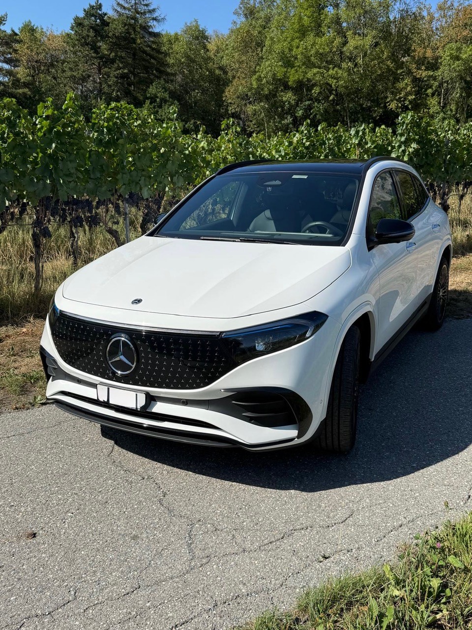 MERCEDES-BENZ EQA 350 Swiss Star AMG Line 4matic-image-0