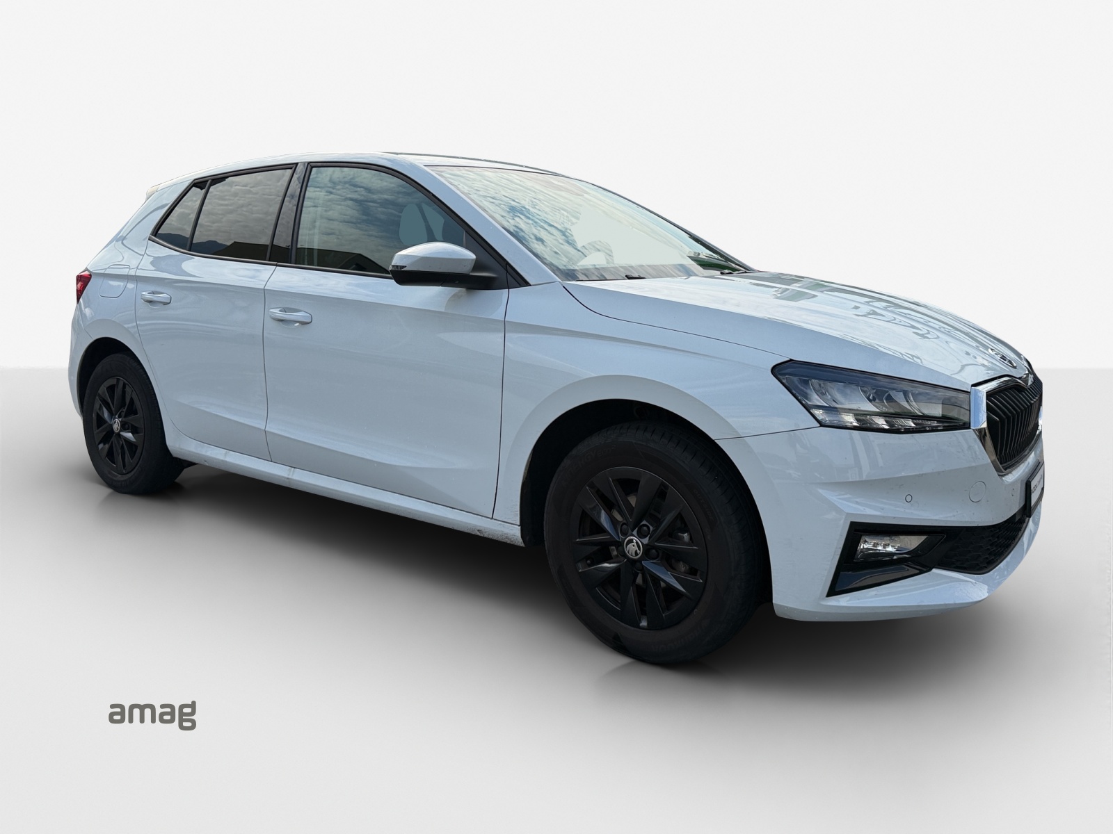 SKODA Fabia 1.0 TSI Ambition-image-5