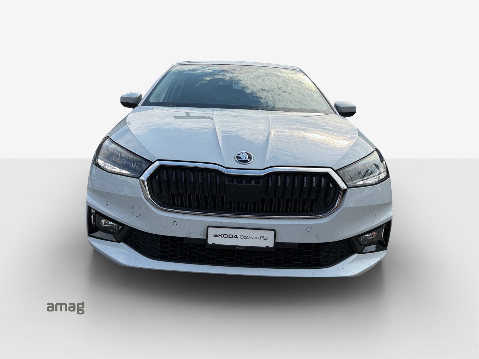 SKODA Fabia 1.0 TSI Ambition-image-6