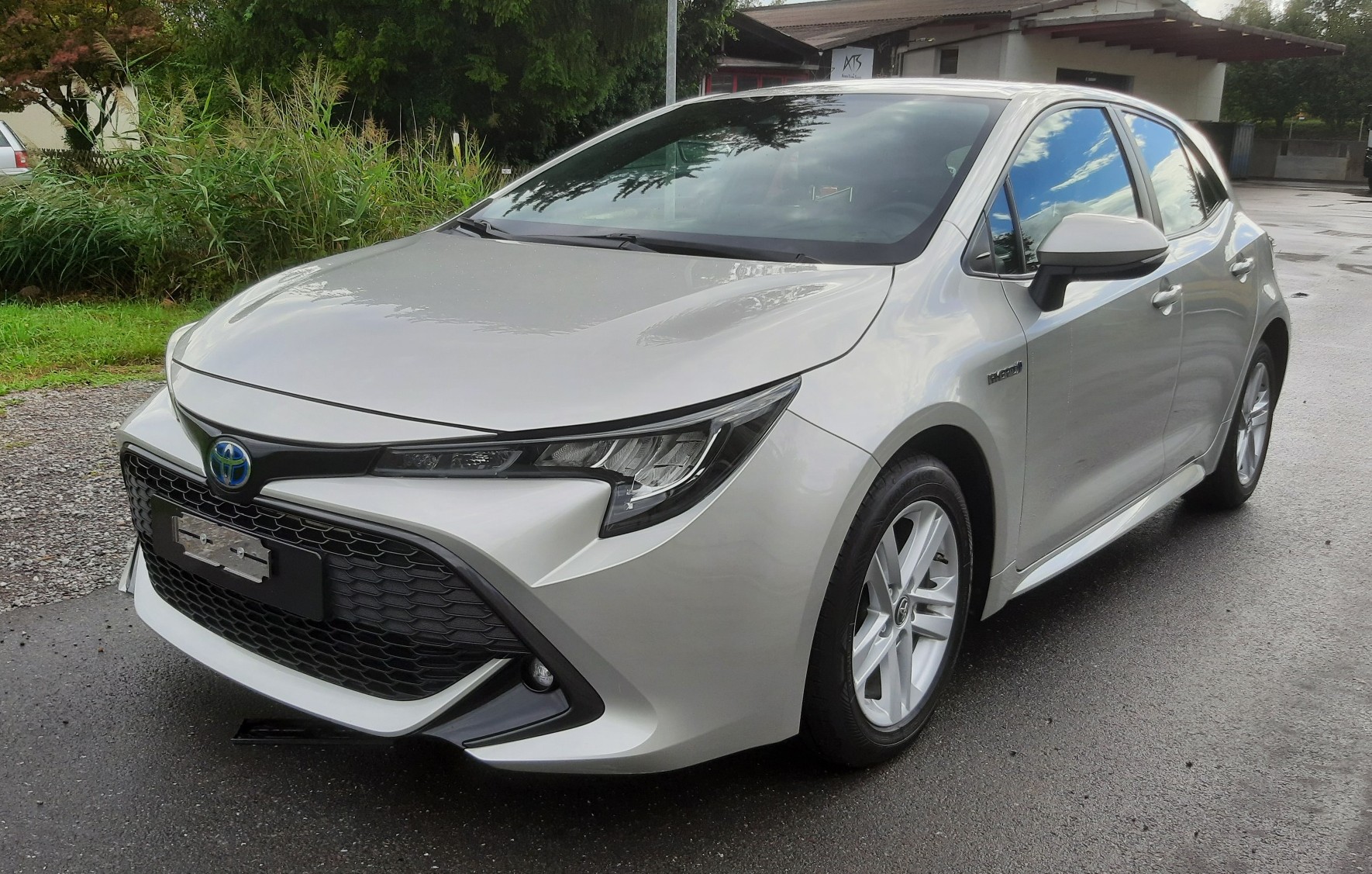 TOYOTA COROLLA-image-0