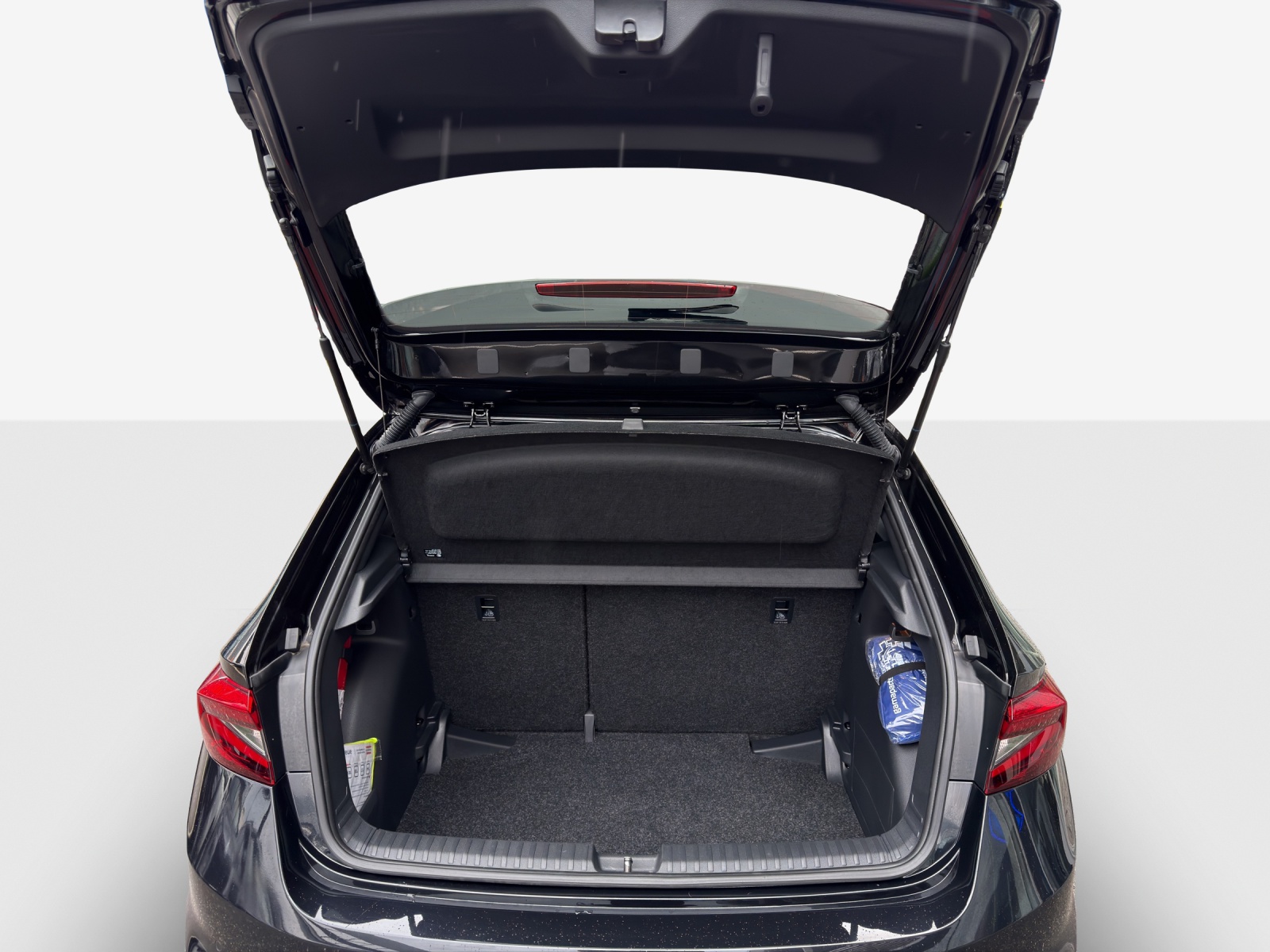 SKODA Fabia 1.0 TSI Monte Carlo DSG-image-12
