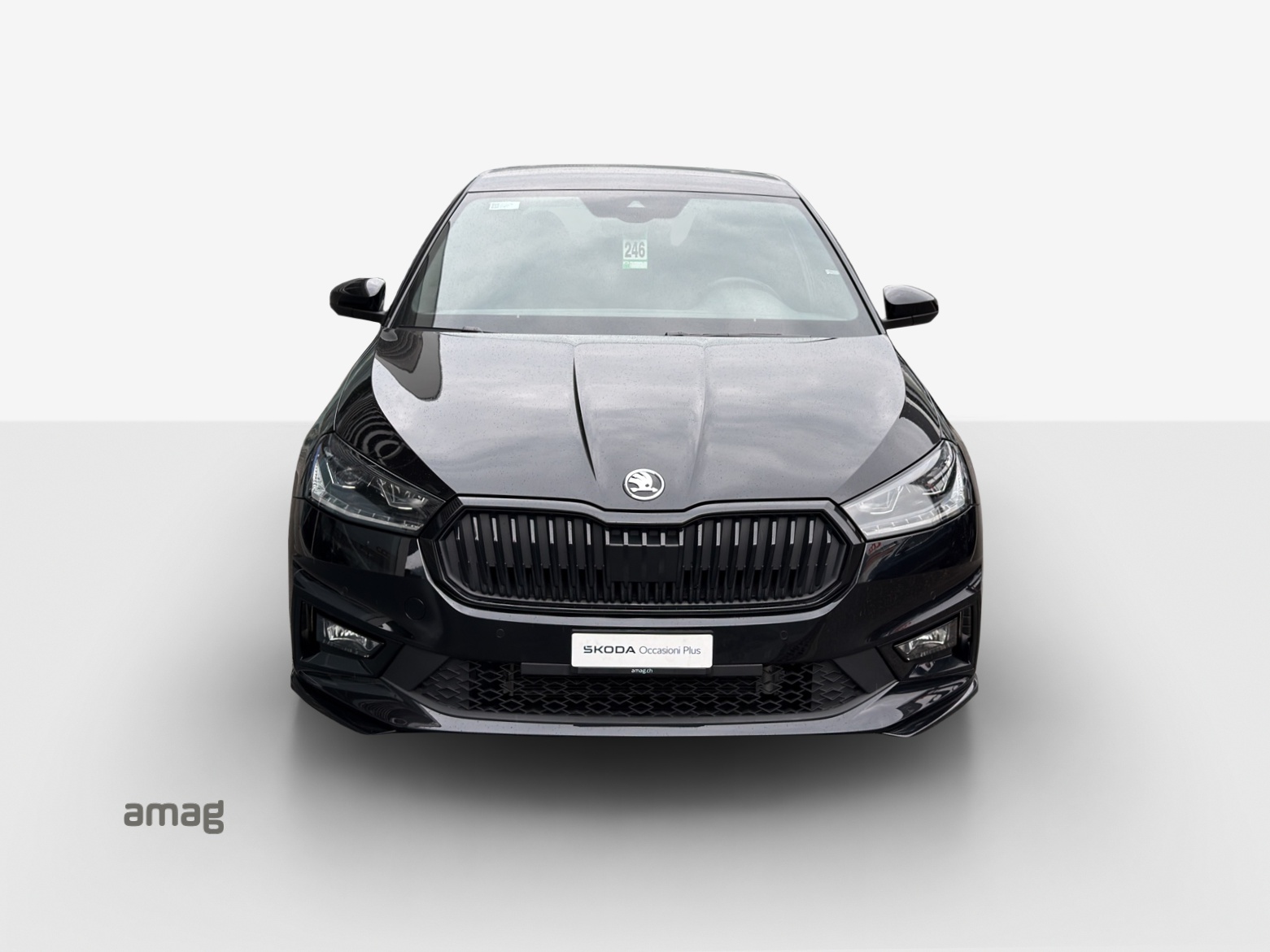 SKODA Fabia 1.0 TSI Monte Carlo DSG-image-6