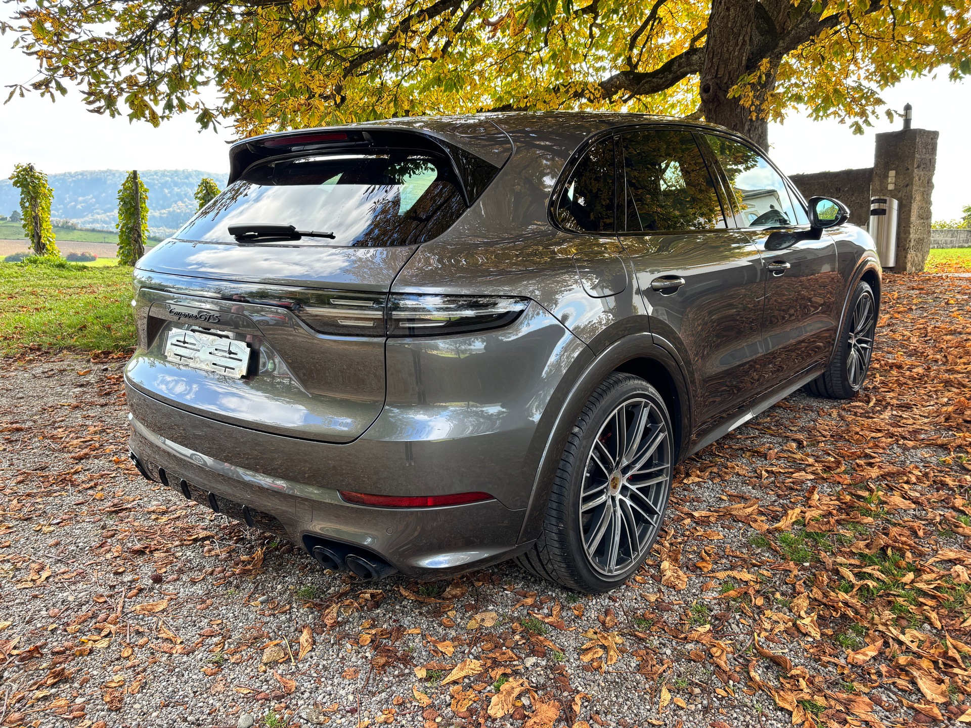PORSCHE Cayenne GTS-image-4