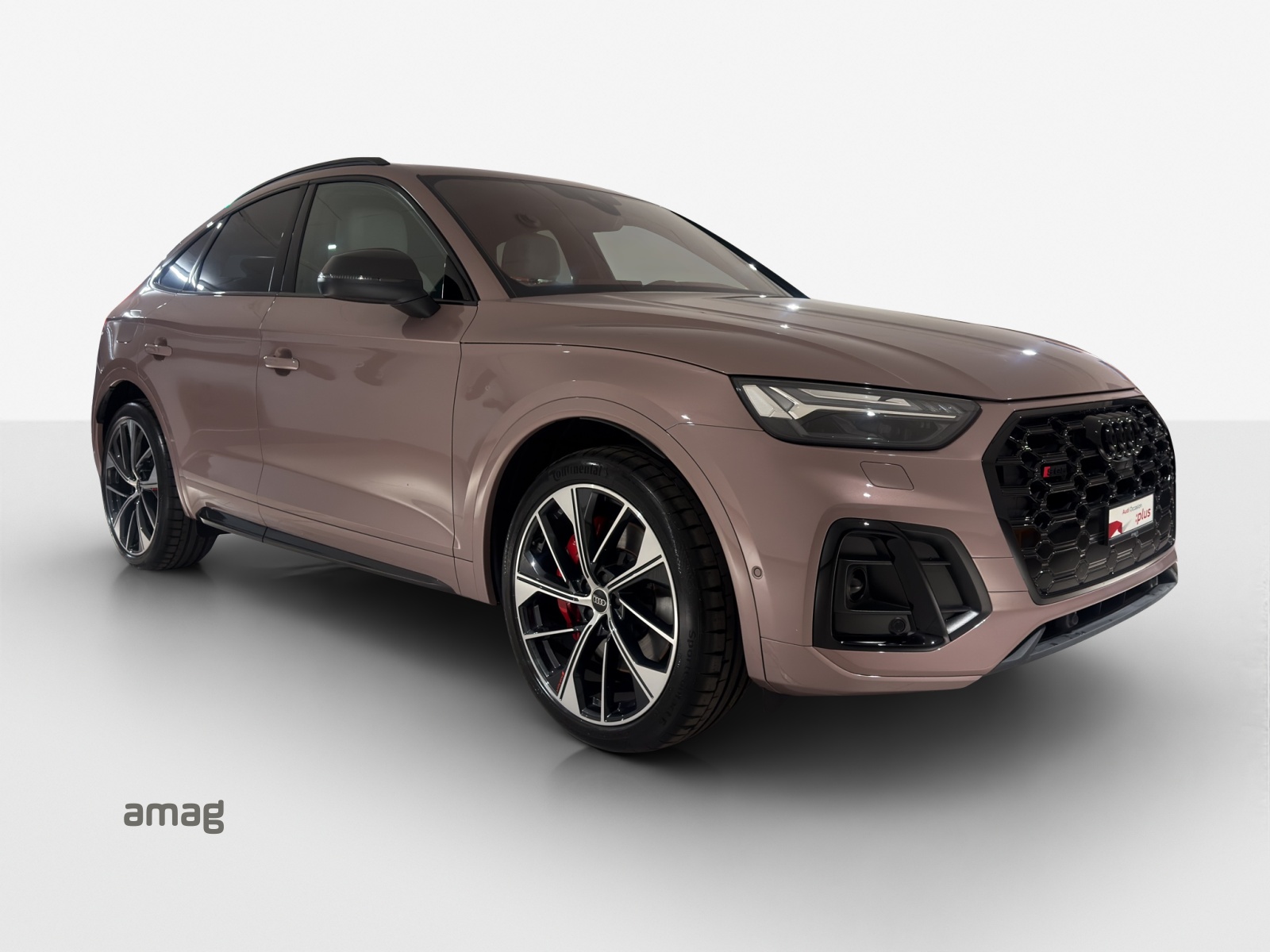 AUDI SQ5 SB TDI quattro Exklusive 1of 1-image-5