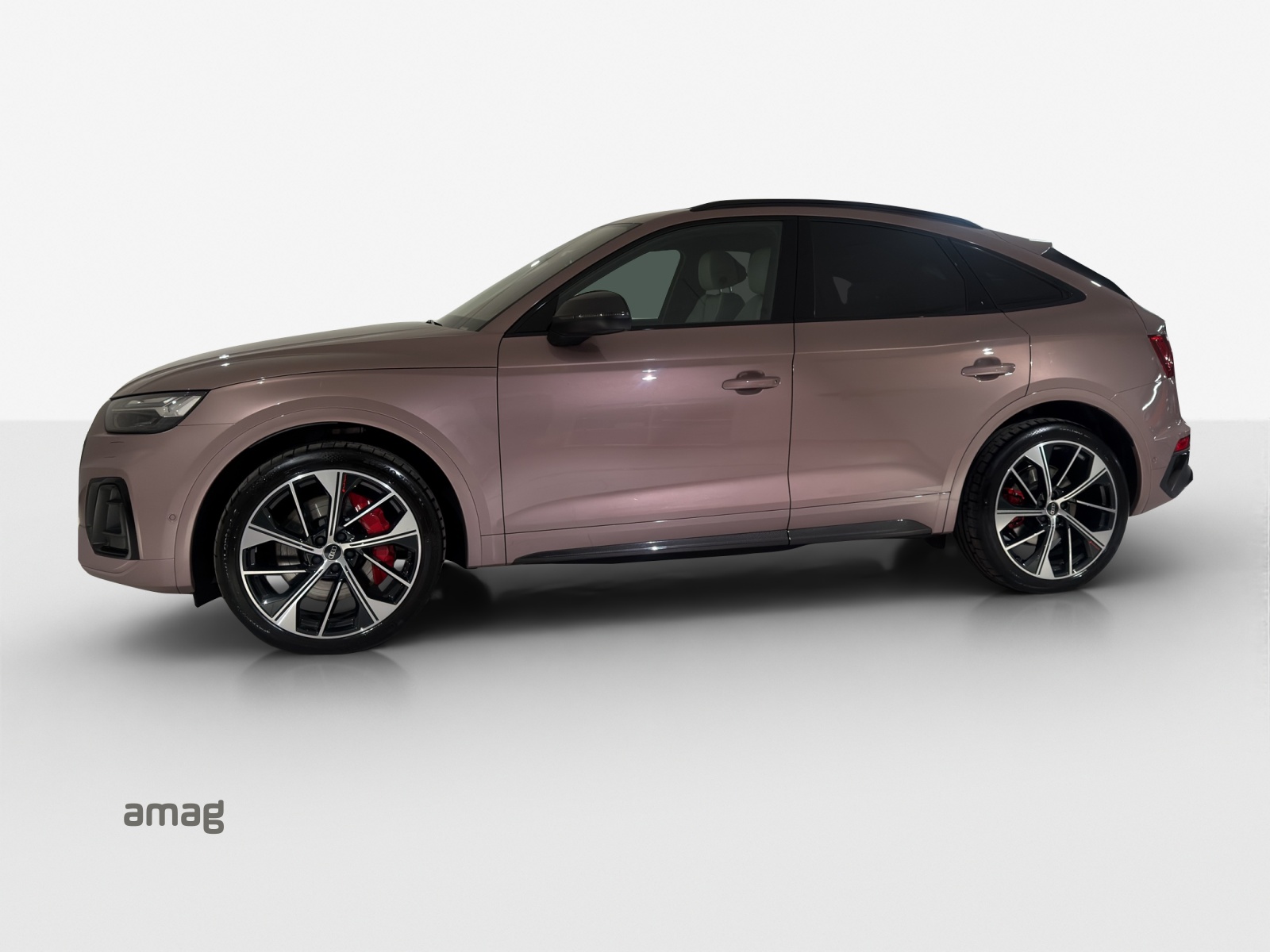 AUDI SQ5 SB TDI quattro Exklusive 1of 1-image-1