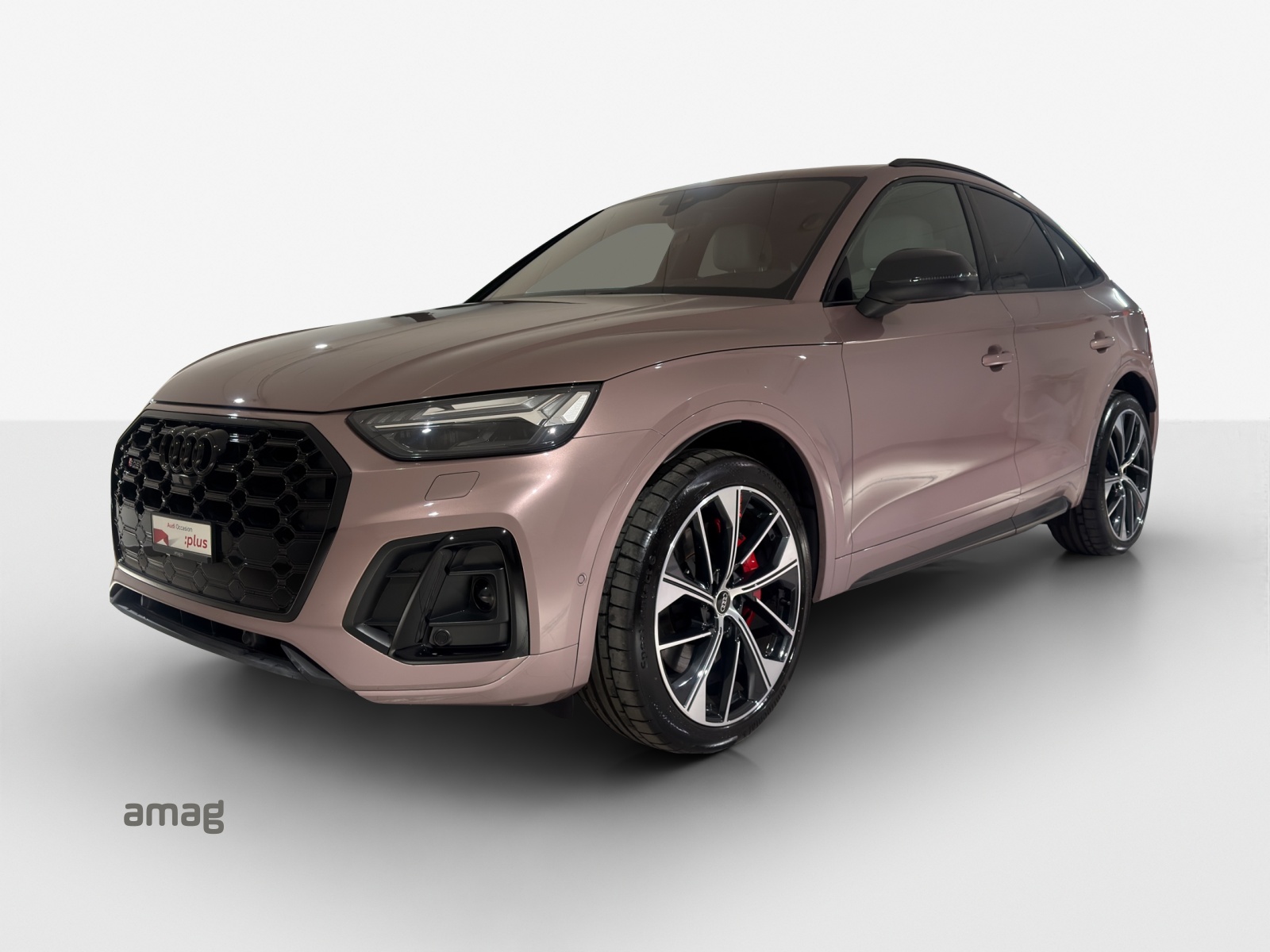 AUDI SQ5 SB TDI quattro Exklusive 1of 1-image-0