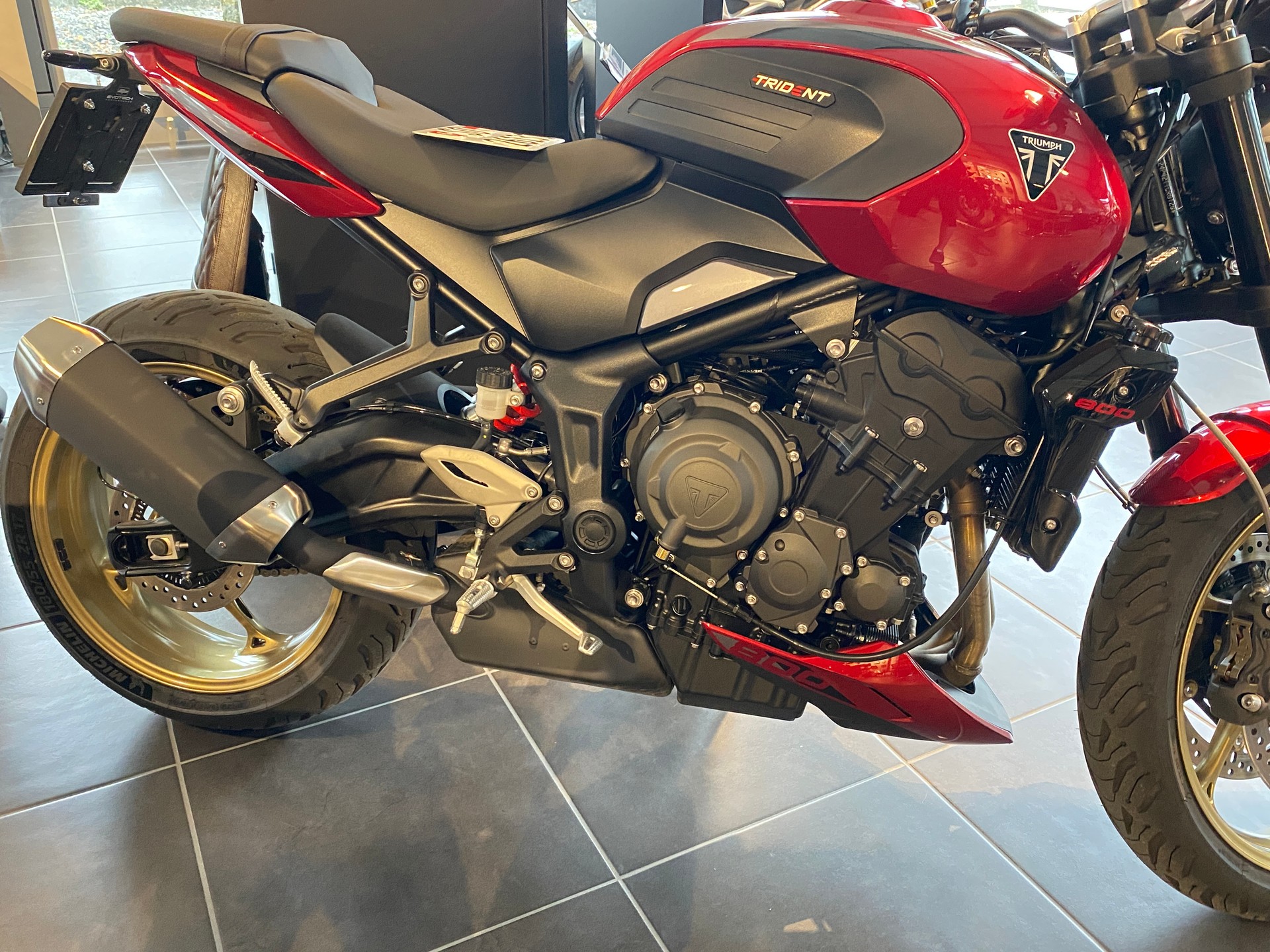 TRIUMPH Trident 800 "mit Kurz-Heck und Blinker Umbau"-image-7