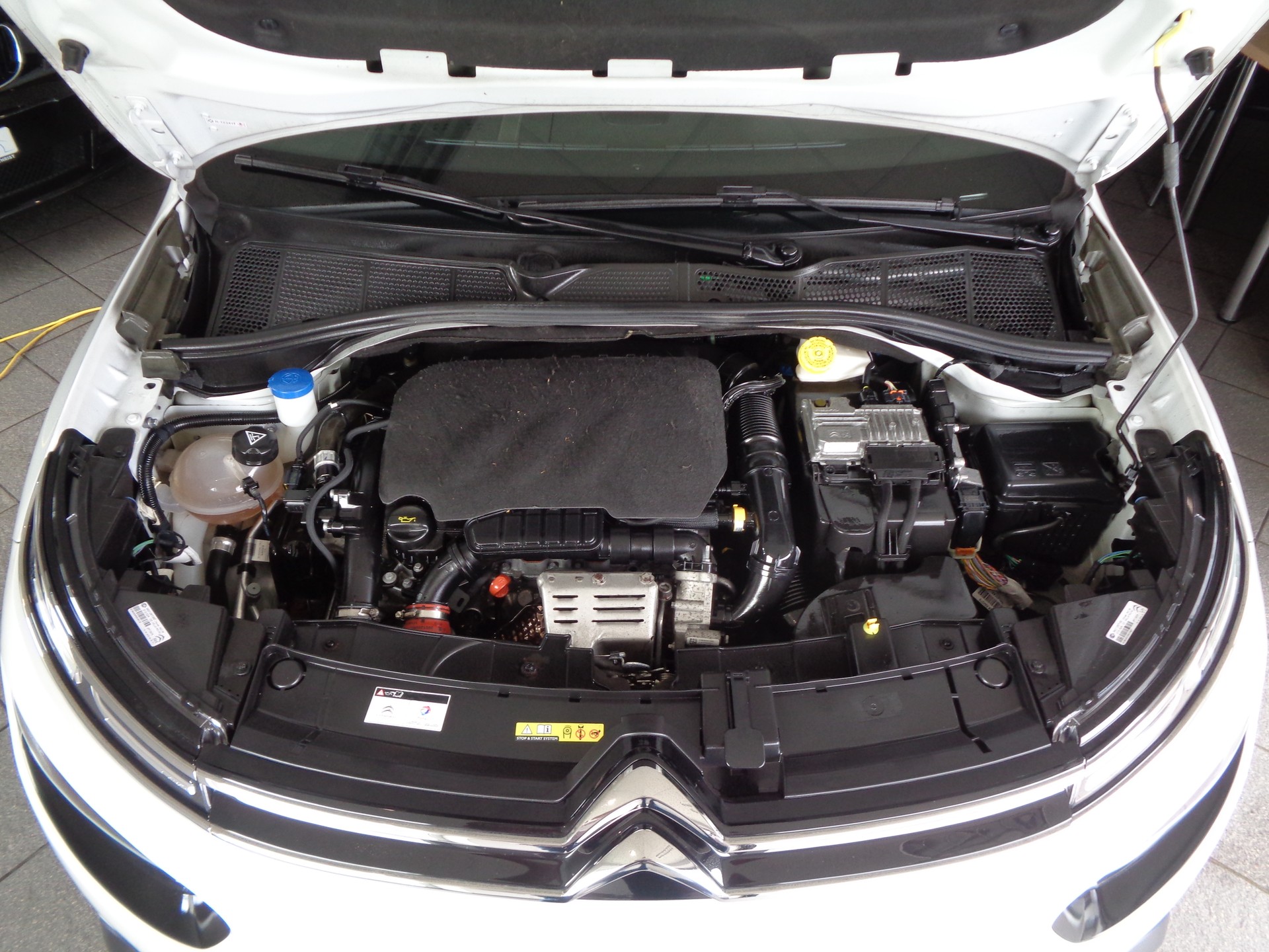 CITROEN C4 Cactus 1.2 Pure Tech Shine EAT6 For sale
