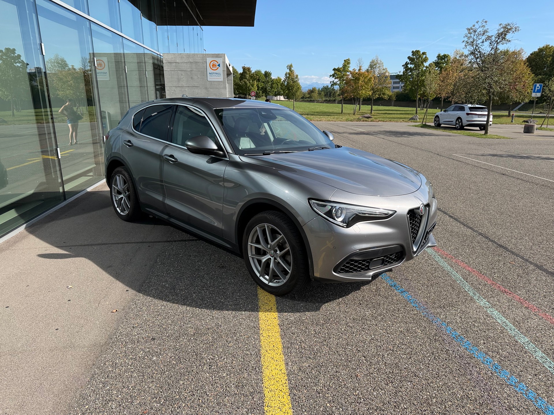 ALFA ROMEO Stelvio 2.0 FIRST EDITION 280 PS - Q4 Automatic - Ausstattung - Rückfahrk.-image-7