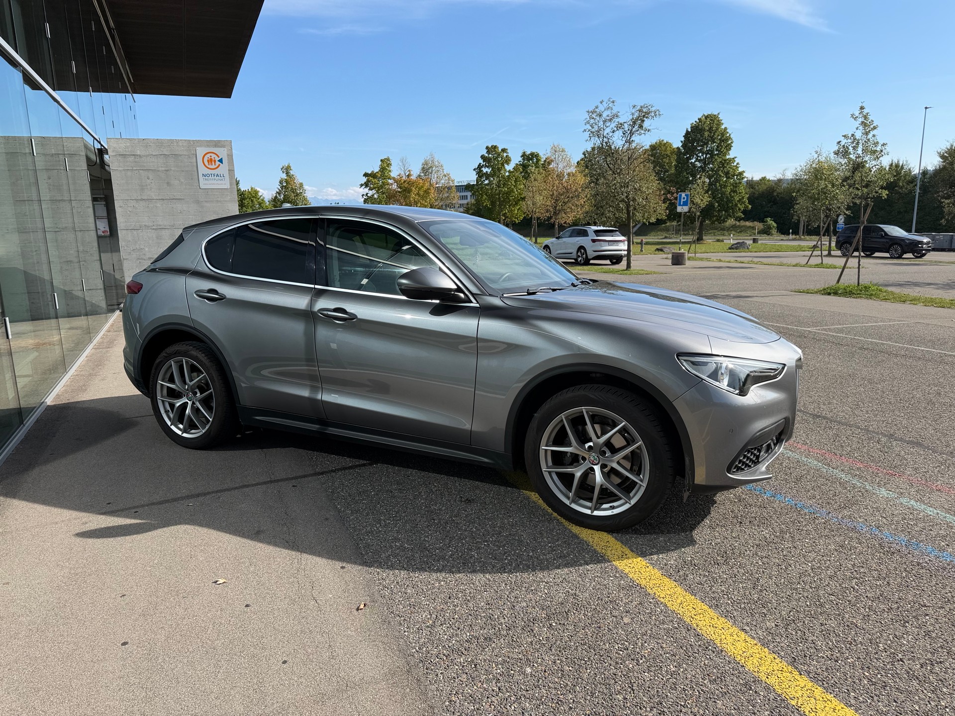 ALFA ROMEO Stelvio 2.0 FIRST EDITION 280 PS - Q4 Automatic - Ausstattung - Rückfahrk.-image-8