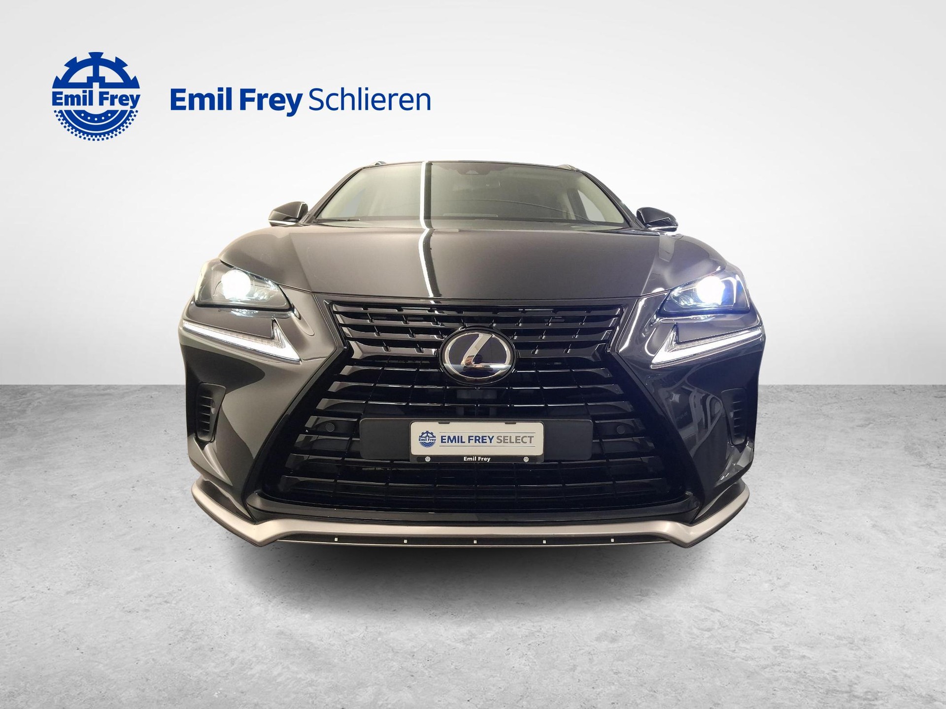 LEXUS NX 300h Special Edition-image-7