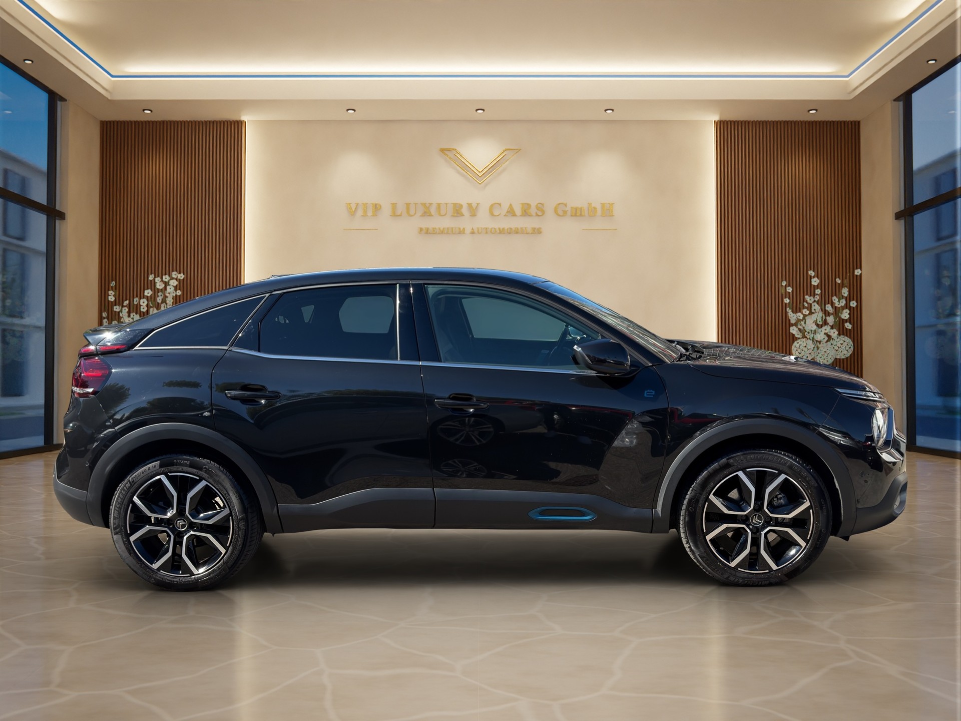 CITROEN C4 Electric Shine Pack-image-3