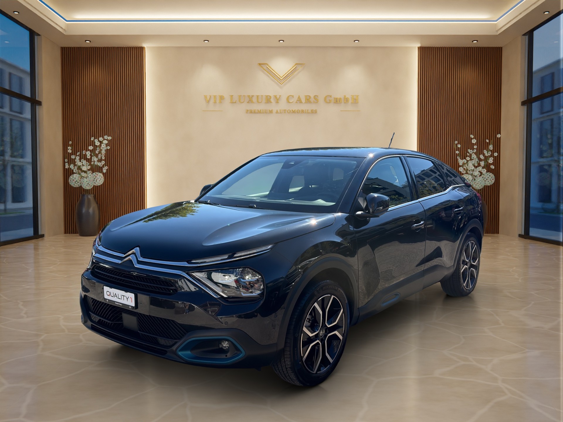 CITROEN C4 Electric Shine Pack-image-0
