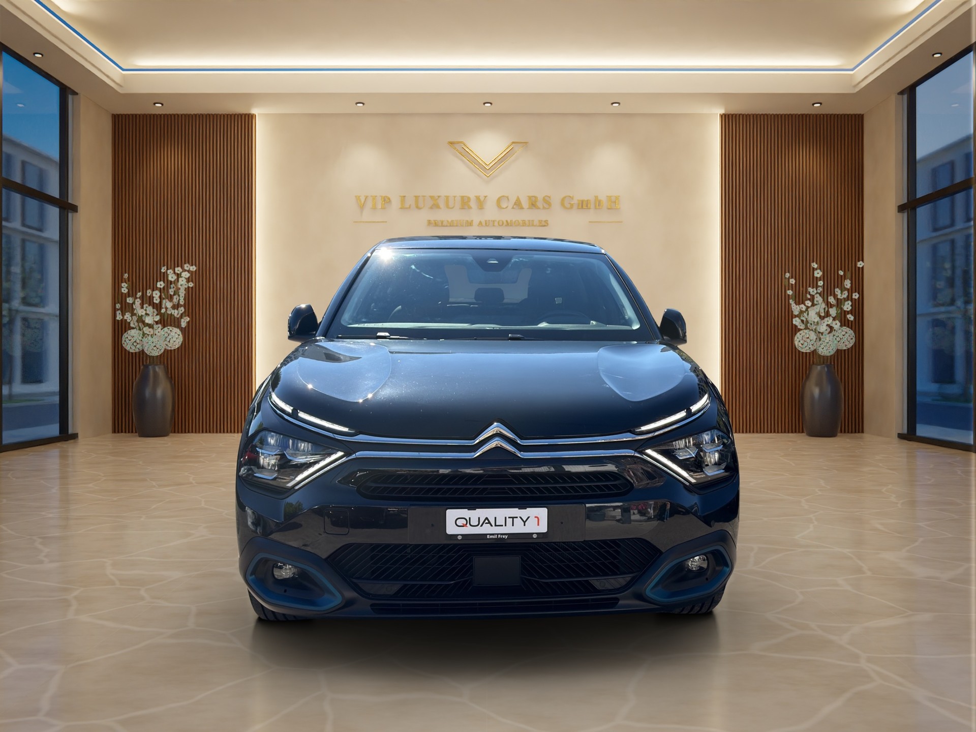 CITROEN C4 Electric Shine Pack-image-2