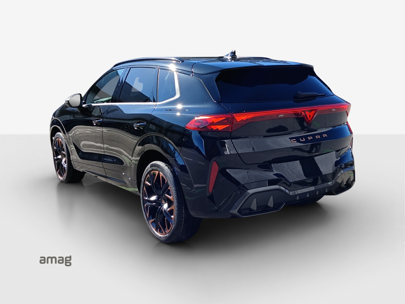 CUPRA Terramar 2.0 TSI DSG Prime Edition VZ 4Drive-image-2
