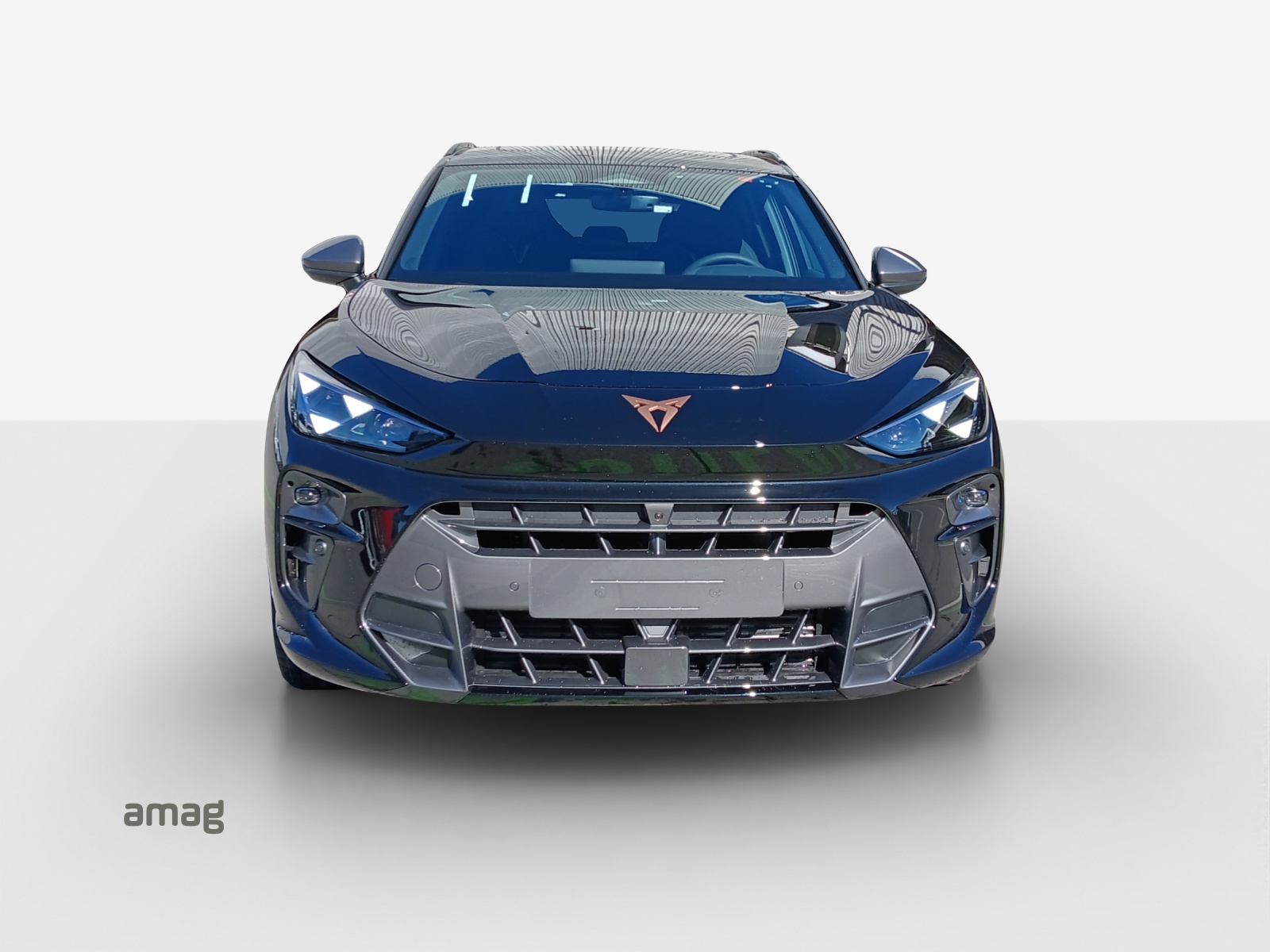 CUPRA Terramar 2.0 TSI DSG Prime Edition VZ 4Drive-image-6
