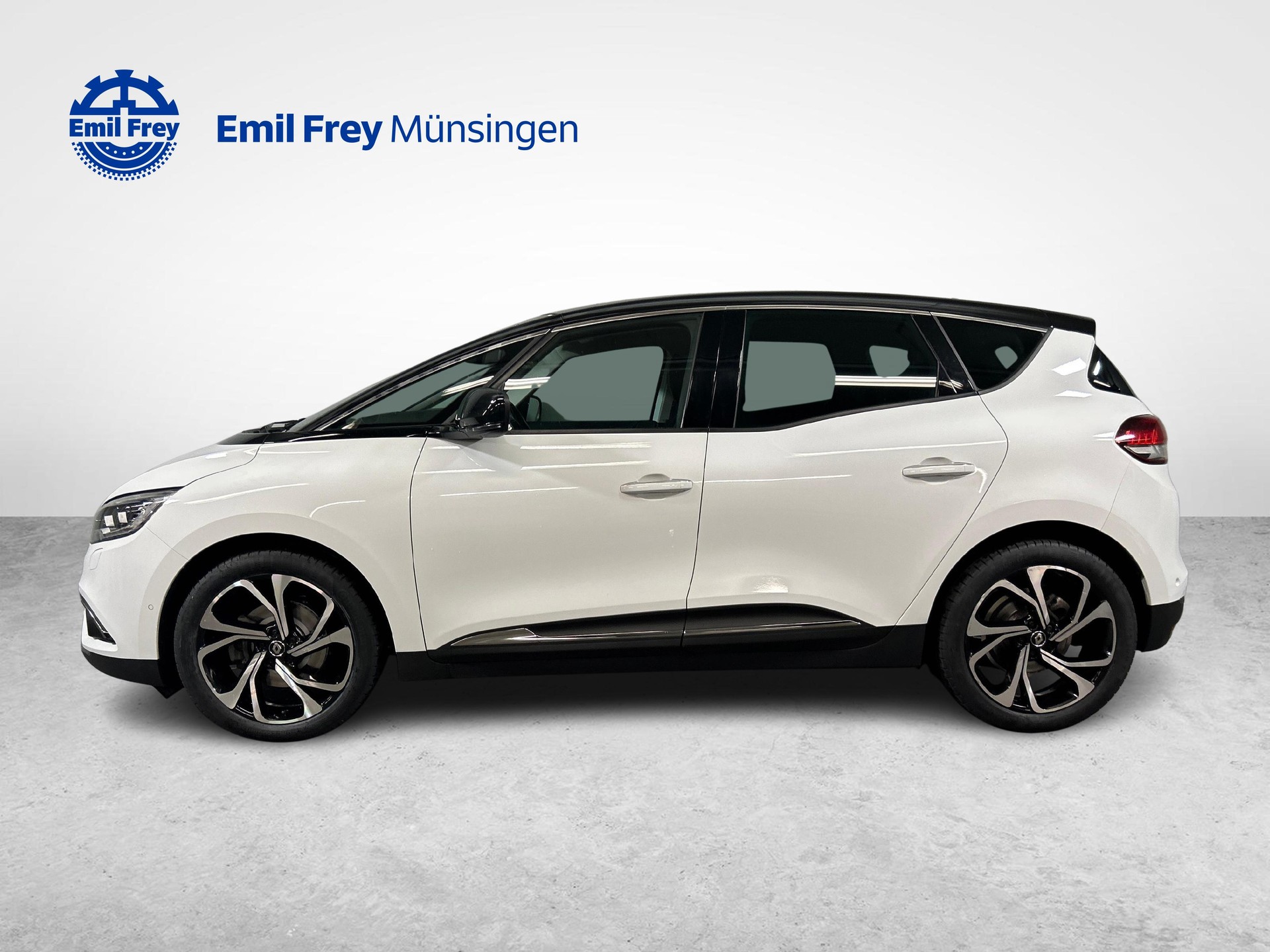 RENAULT Scénic 1.3 TCe 140 Intens Advant. EDC-image-4