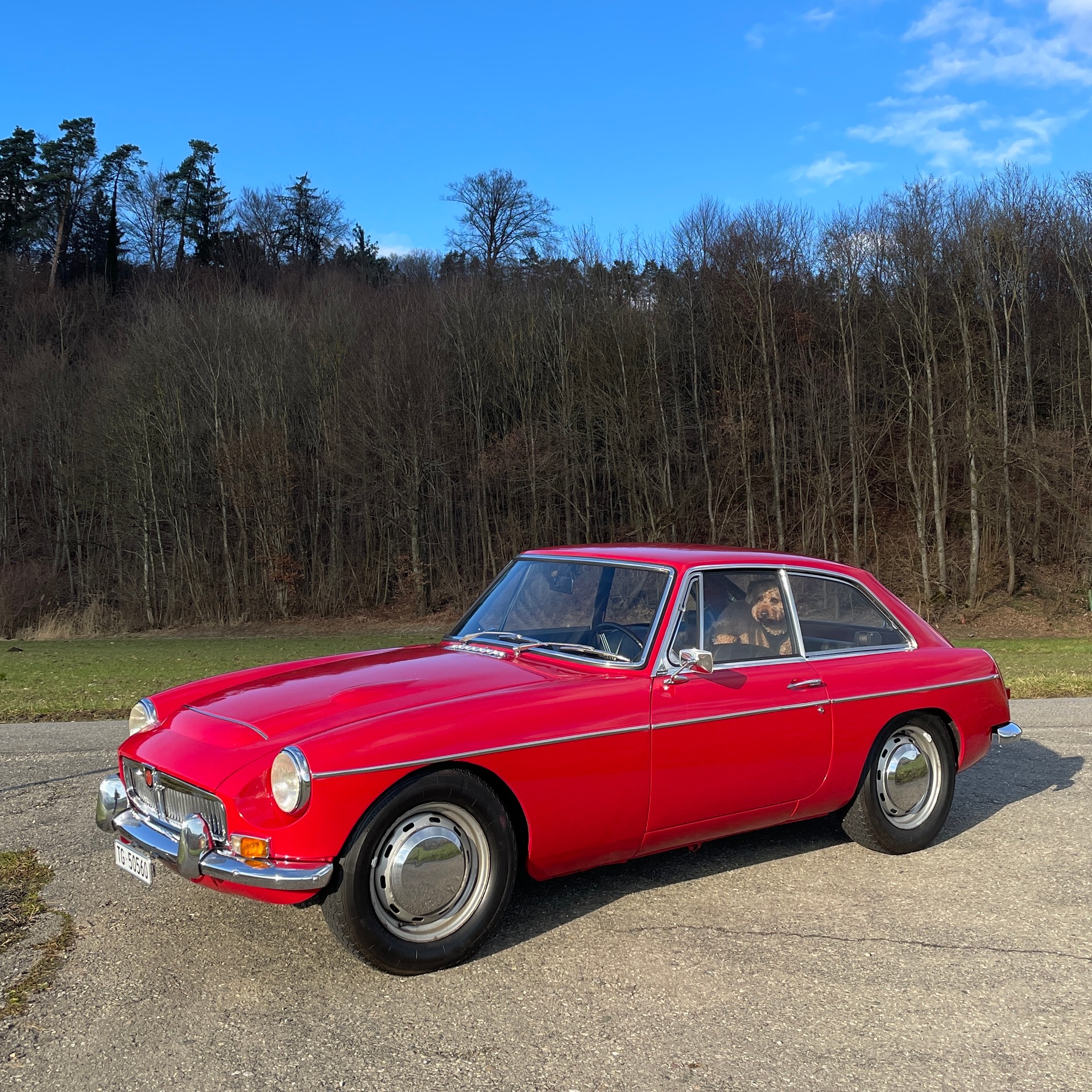 MG GT-image-0