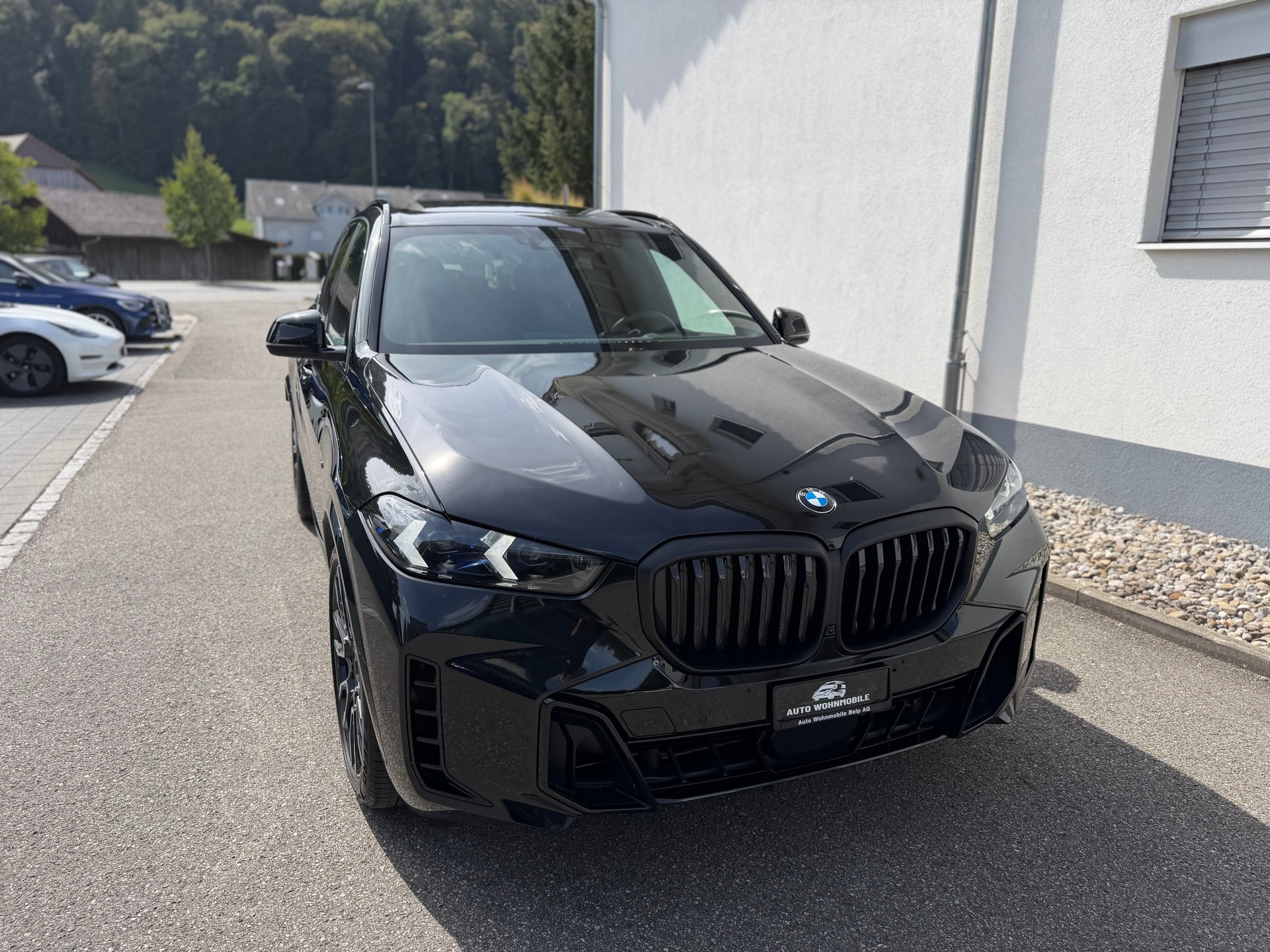BMW X5 xDrive 48V 30d M Sport Pro Steptronic-image-0