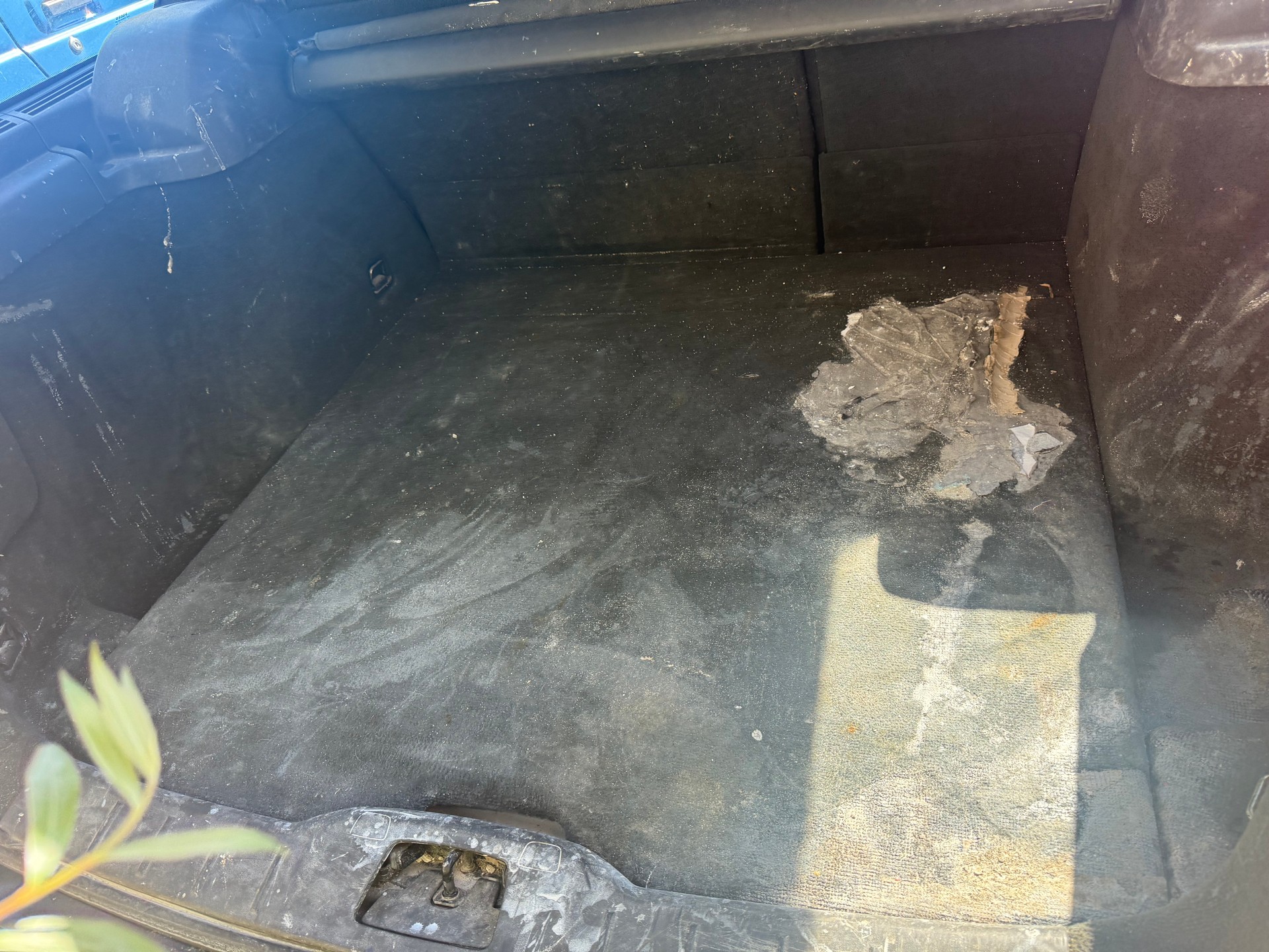 VOLVO V50 2.0D-image-9