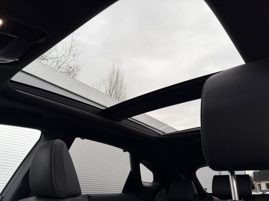 LEXUS RX 450h+ Excellnece AWD-image-8