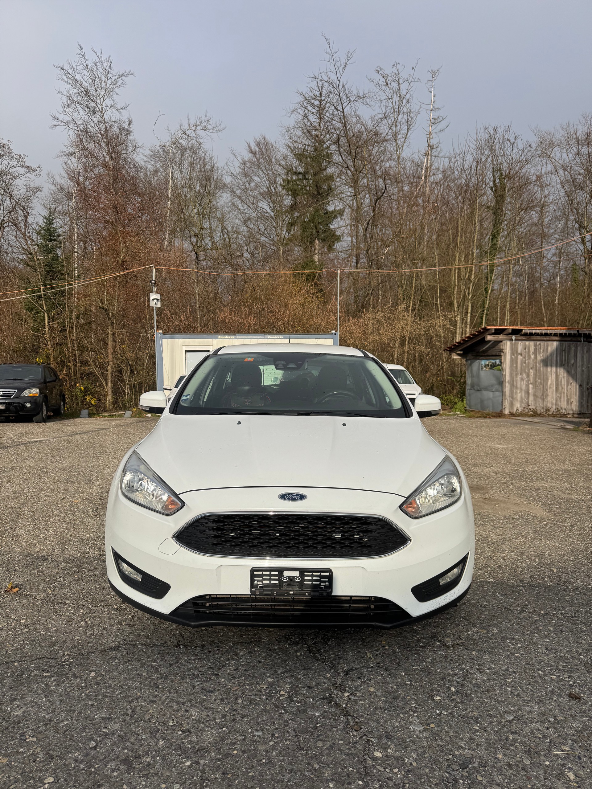 FORD Focus 2.0 TDCi Carving Powershift-image-1