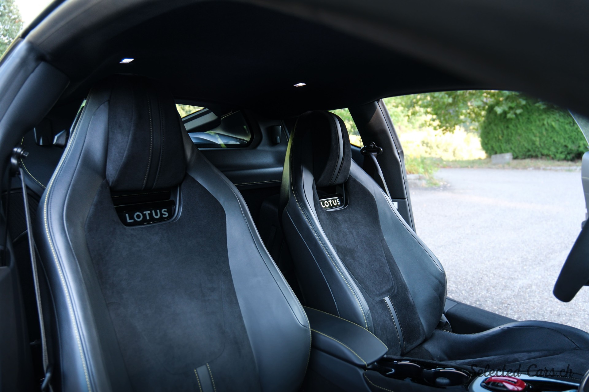 LOTUS First Edition-image-8