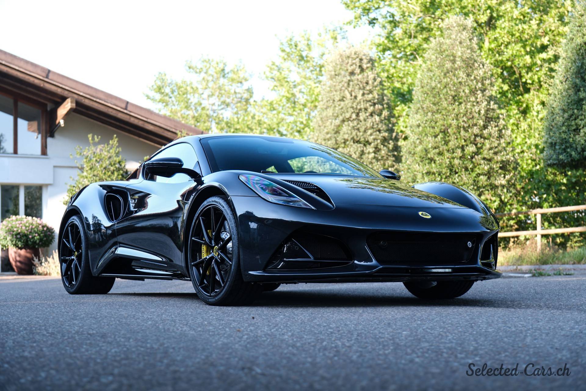 LOTUS First Edition-image-2