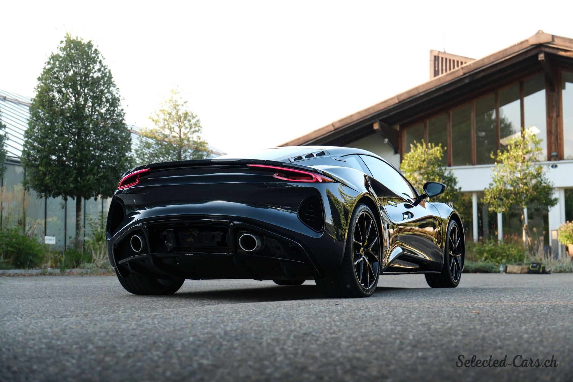 LOTUS First Edition-image-4