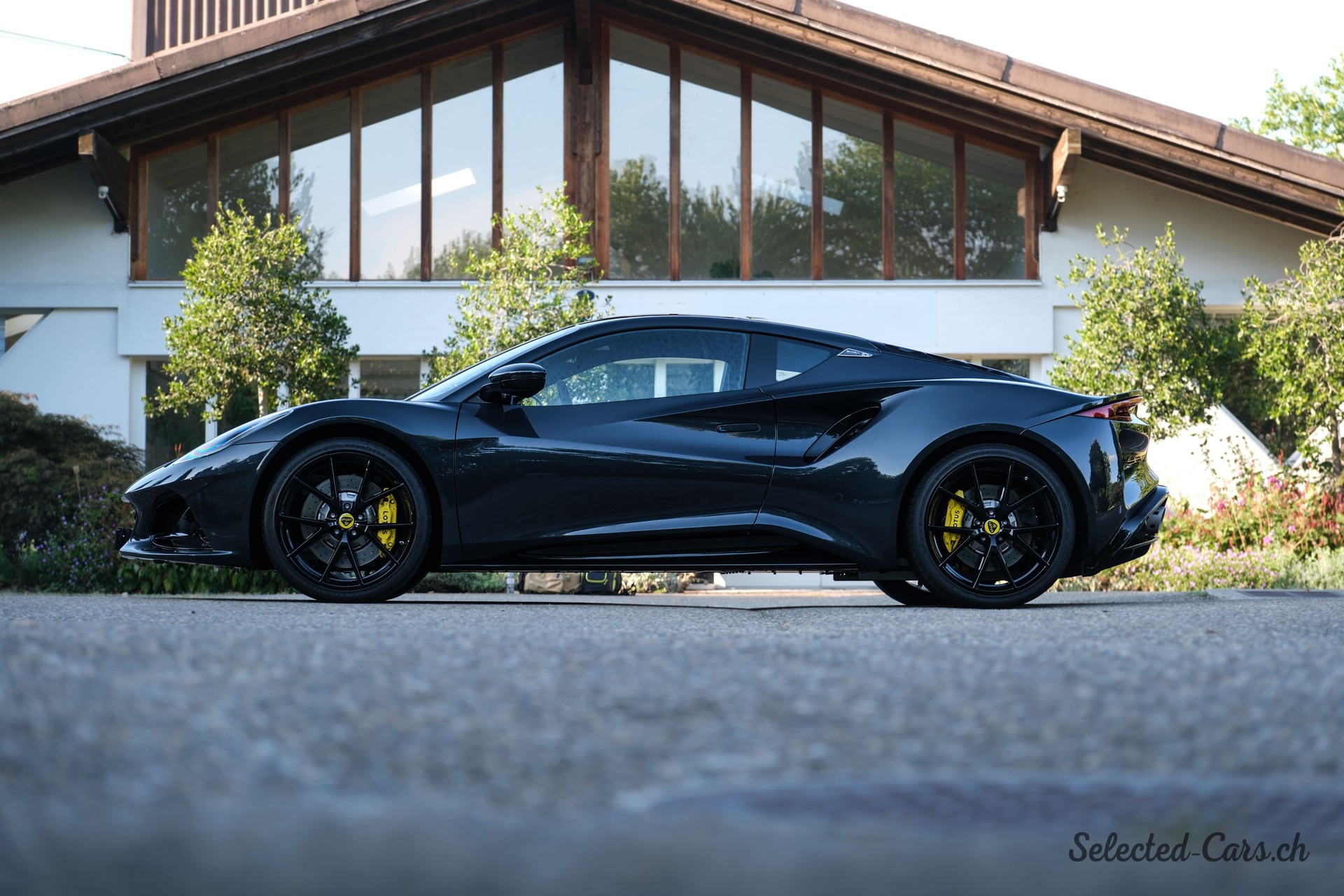 LOTUS First Edition-image-3