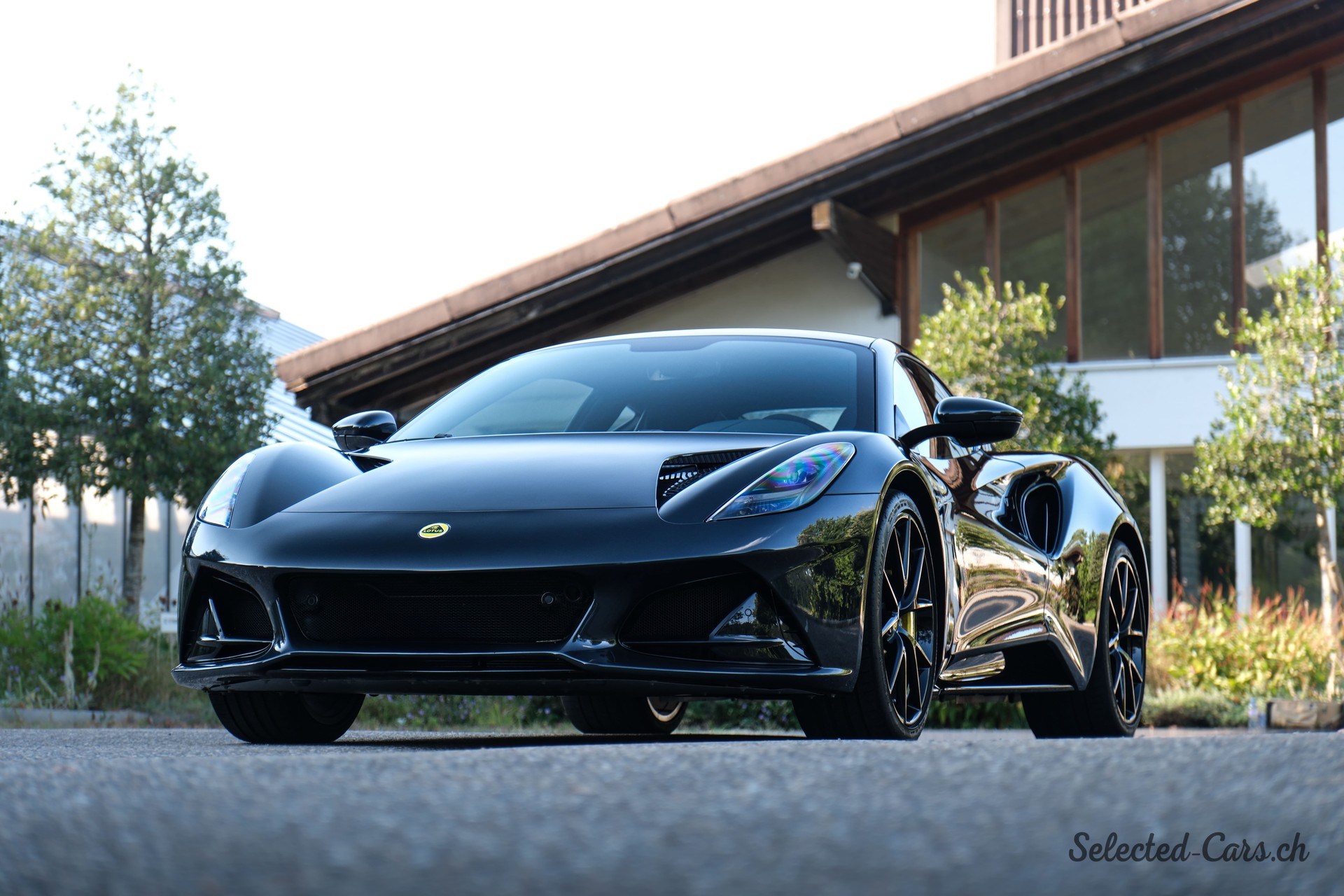LOTUS First Edition-image-0
