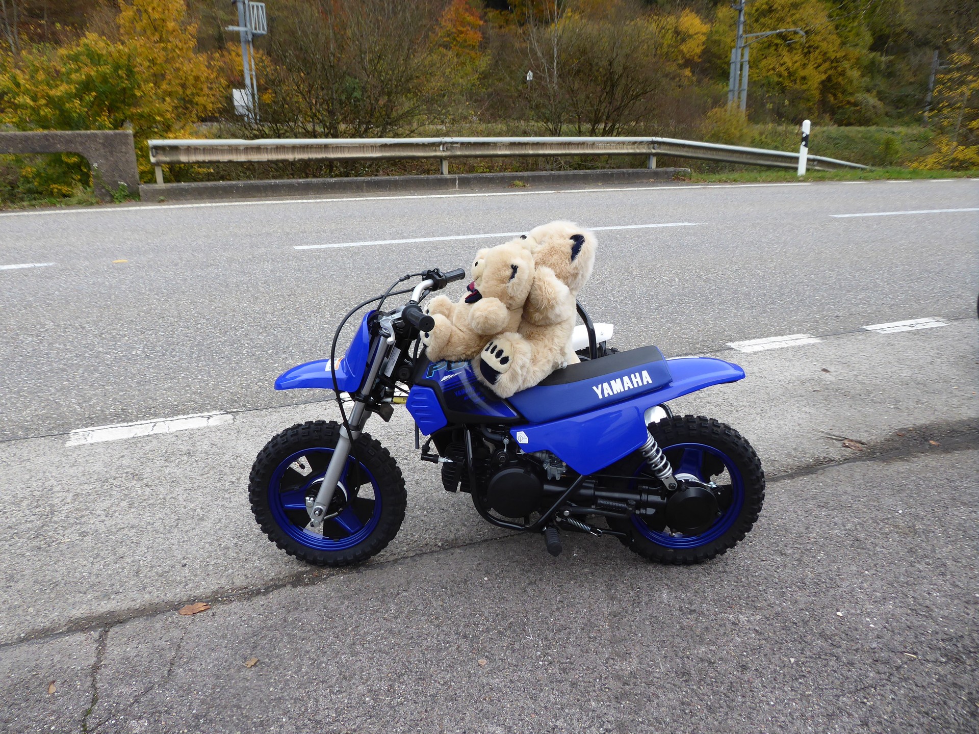 YAMAHA PW50 Side-car