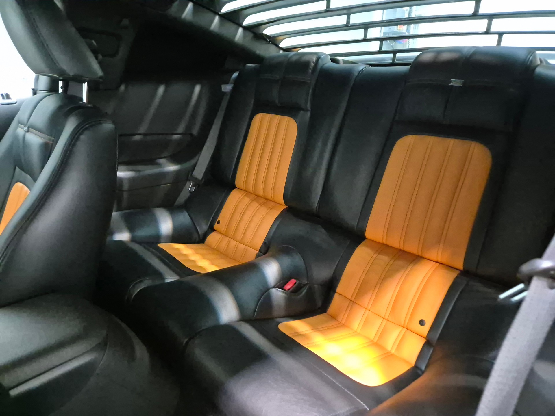 FORD Saleen - Parnelli Jones - Limited Edition - 406/500 units-image-15