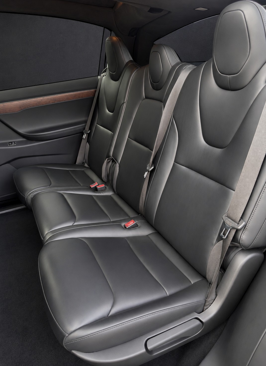 TESLA Model X 100 D-image-19