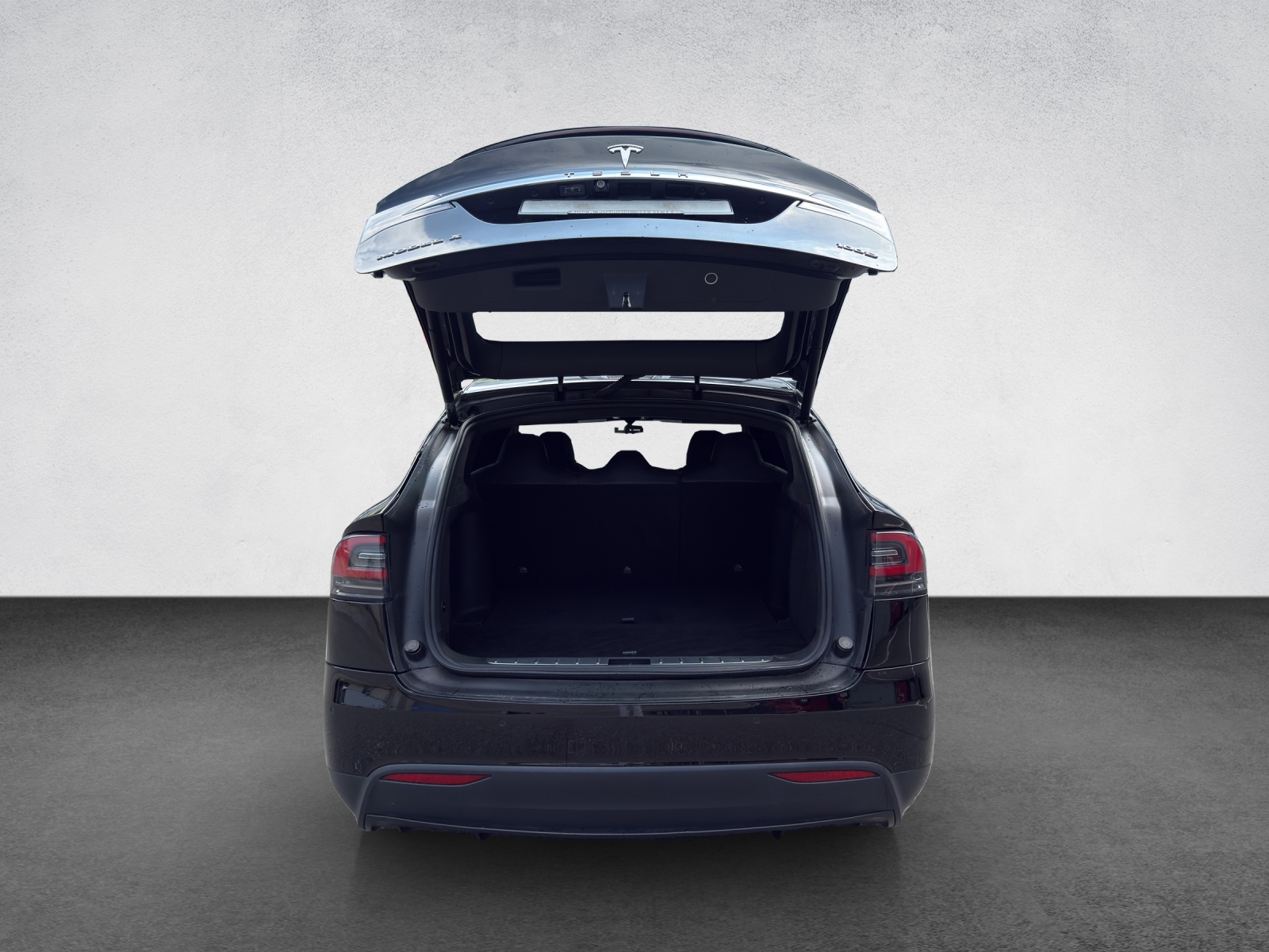 TESLA Model X 100 D-image-20