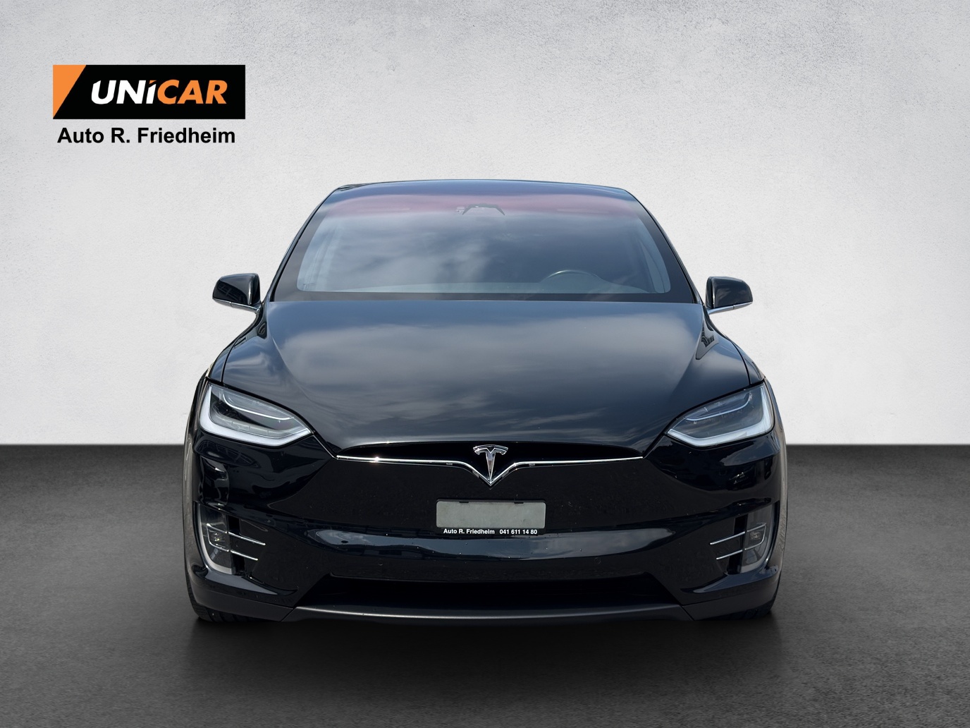 TESLA Model X 100 D-image-1