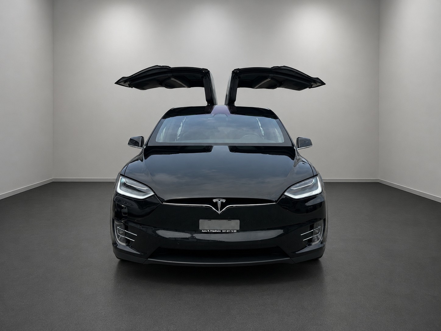 TESLA Model X 100 D-image-8