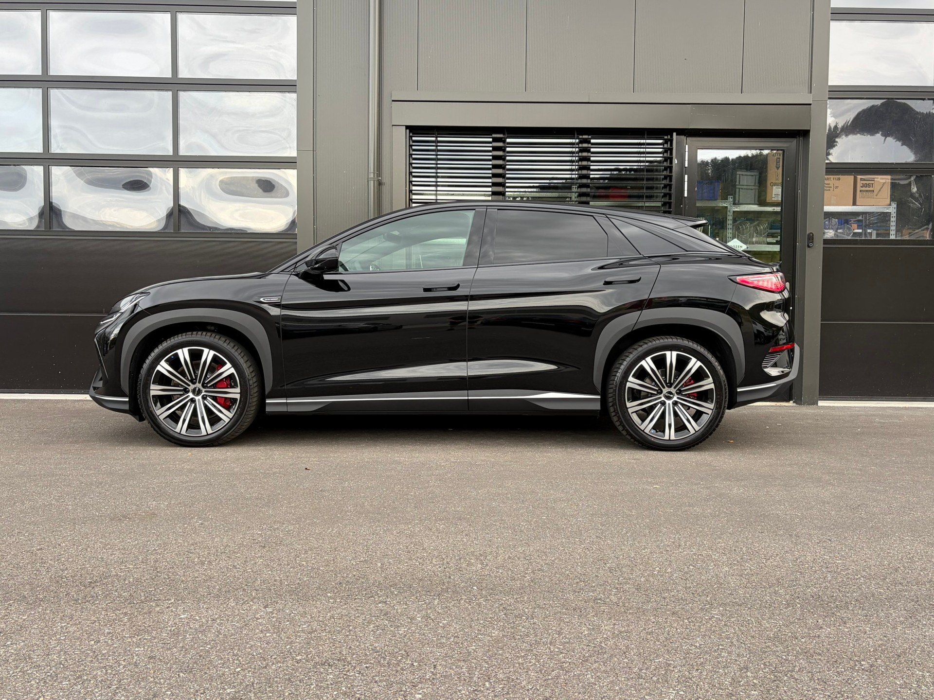 BYD Sealion 7 91,3 kWh Excellence AWD-image-0